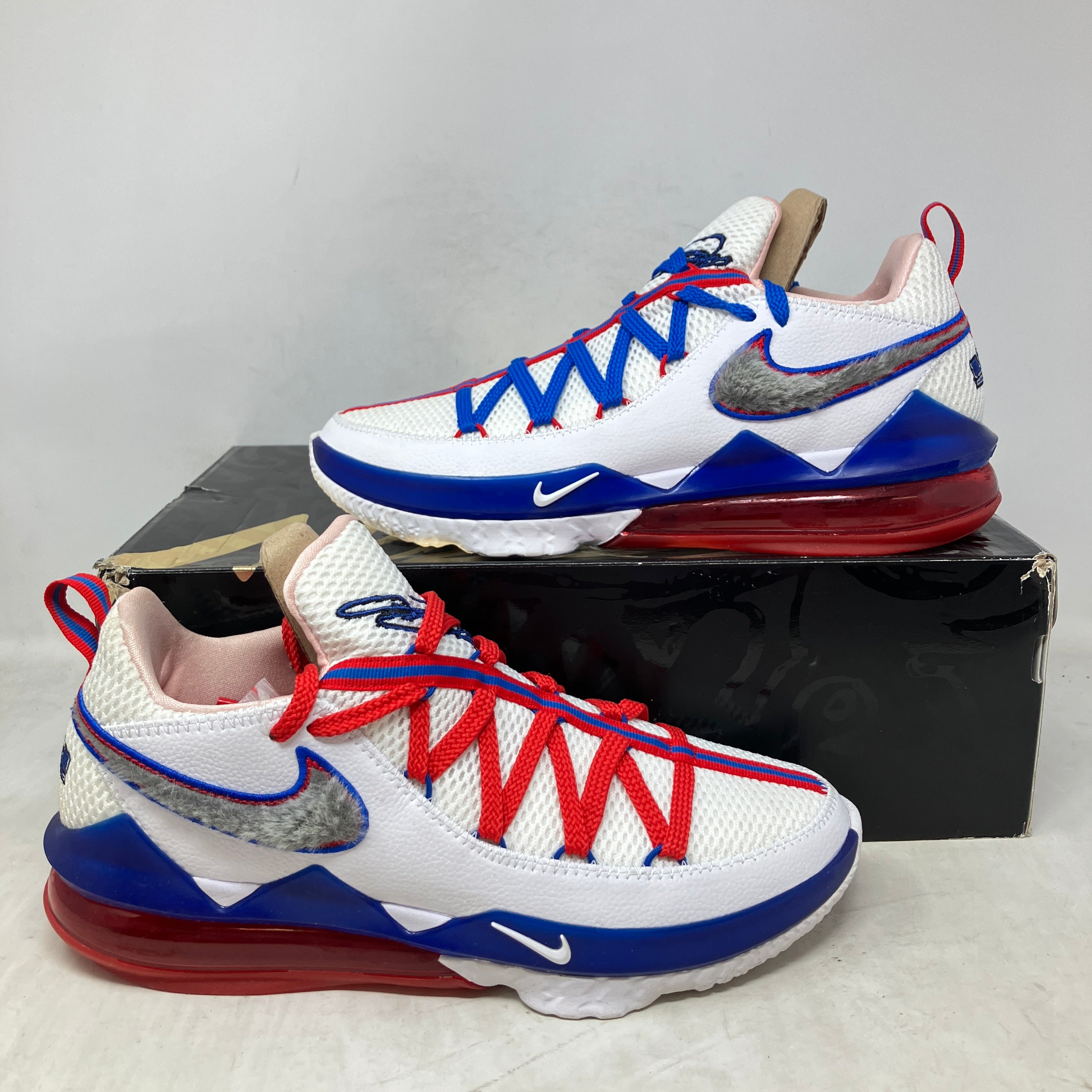 Nike LeBron 17 Low Tune Squad