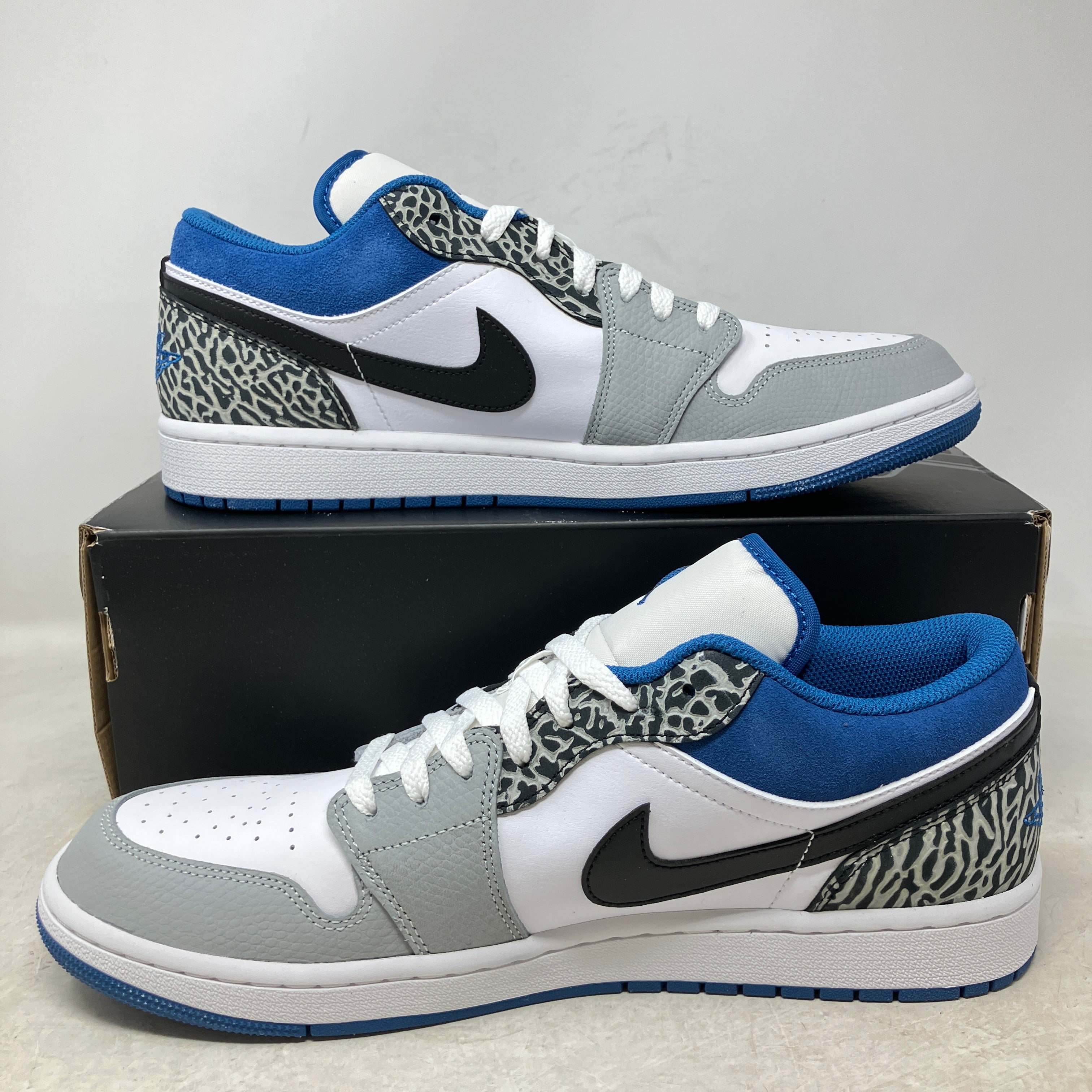 Jordan 1 Low SE True Blue