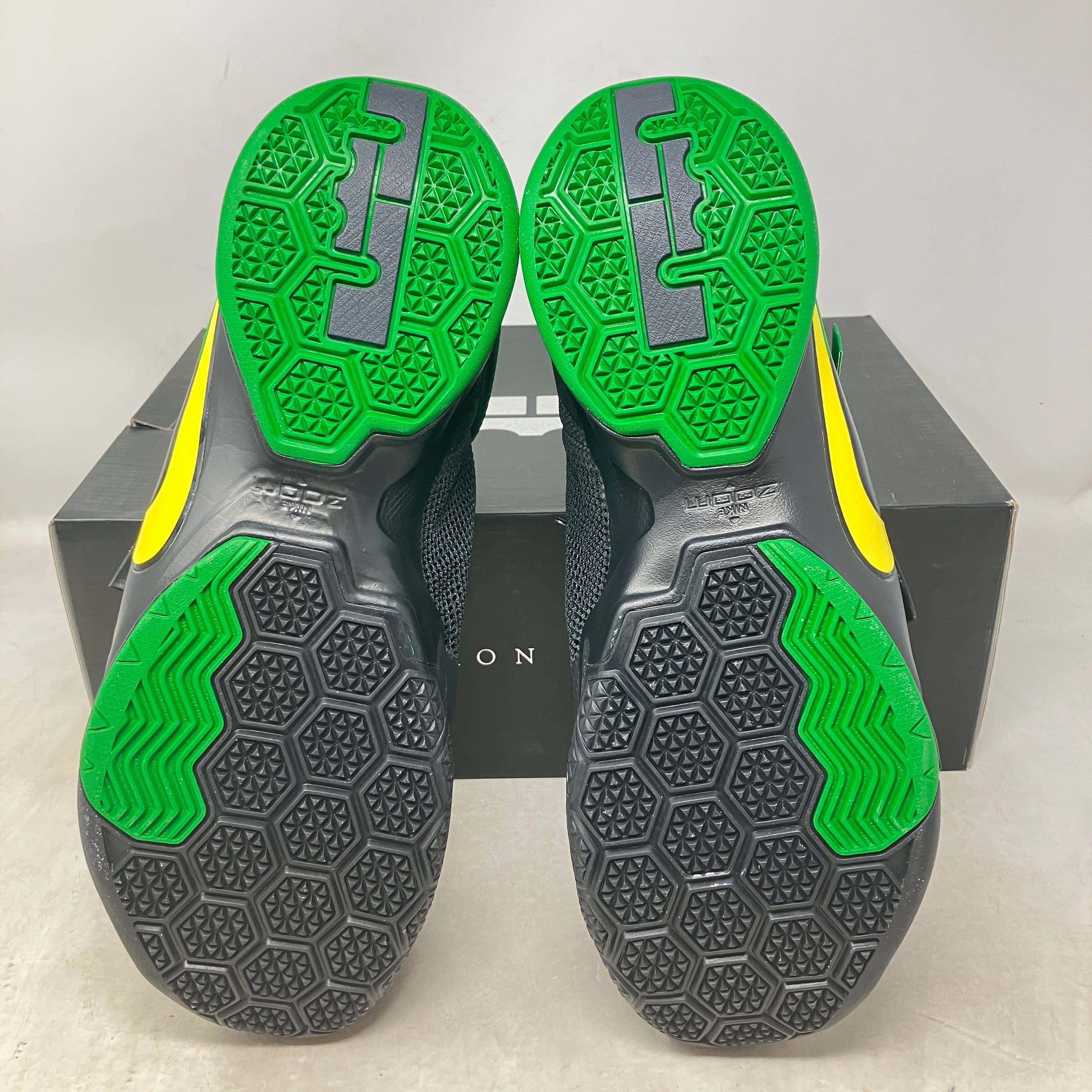 Nike LeBron Zoom Soldier 9 Oregon