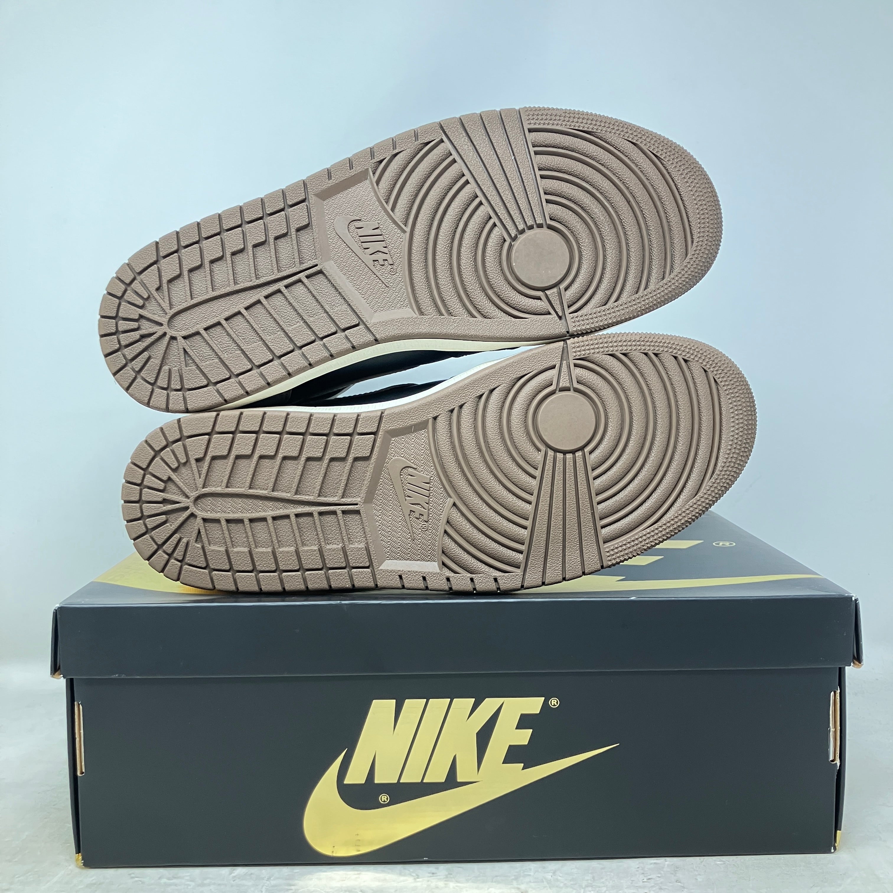 Jordan 1 Retro High OG Palomino