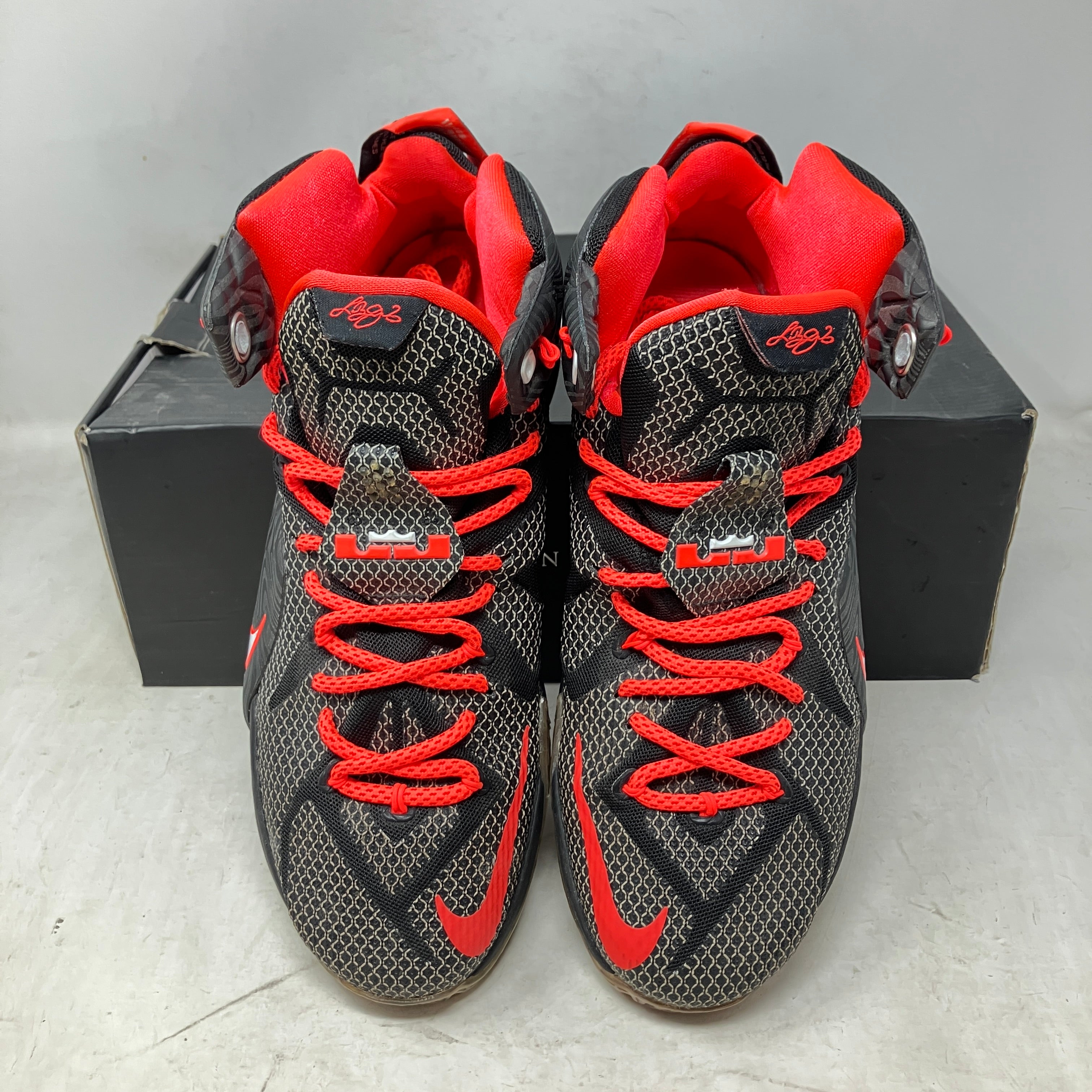 Nike LeBron 12 Court Vision