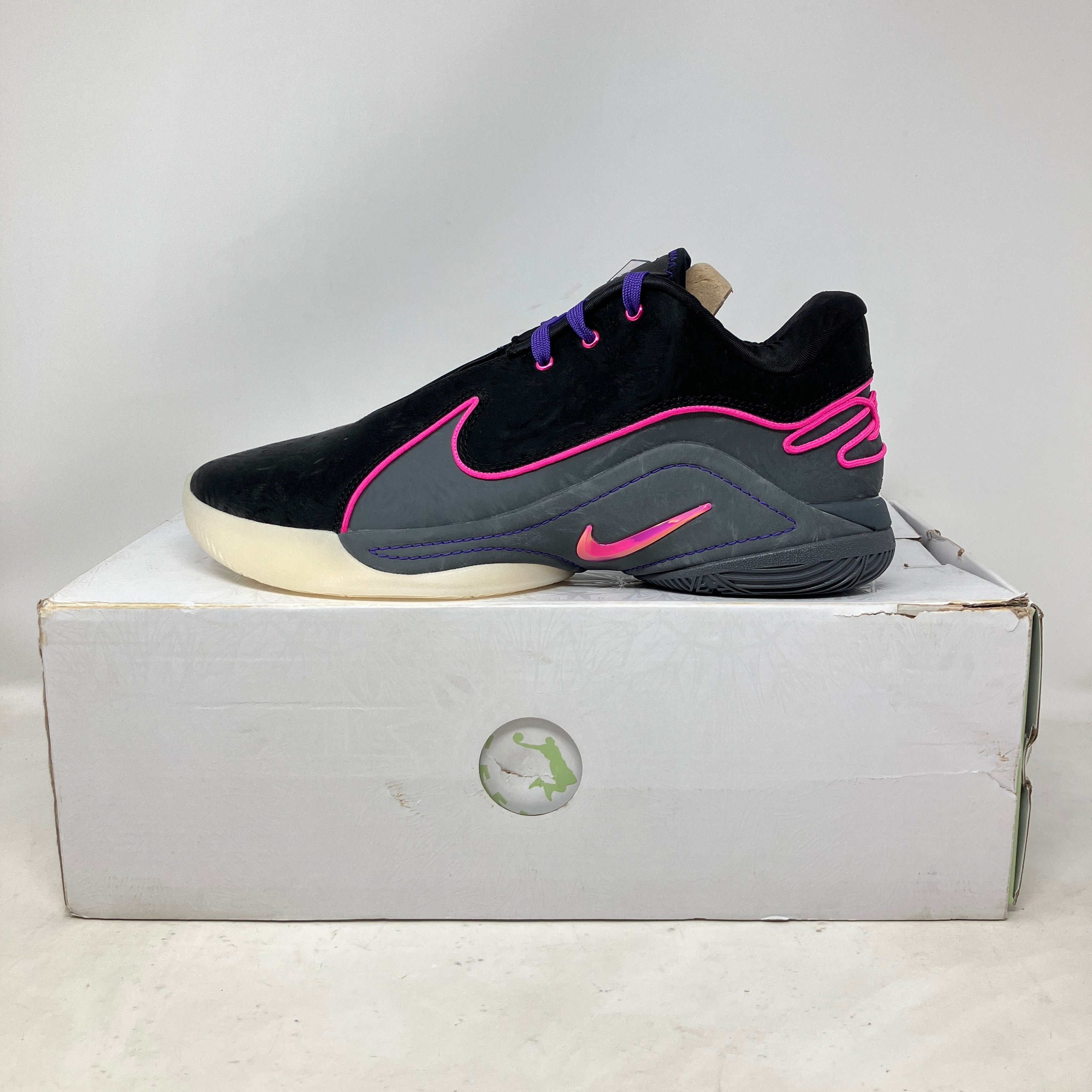 Nike LeBron 22 Blacklight