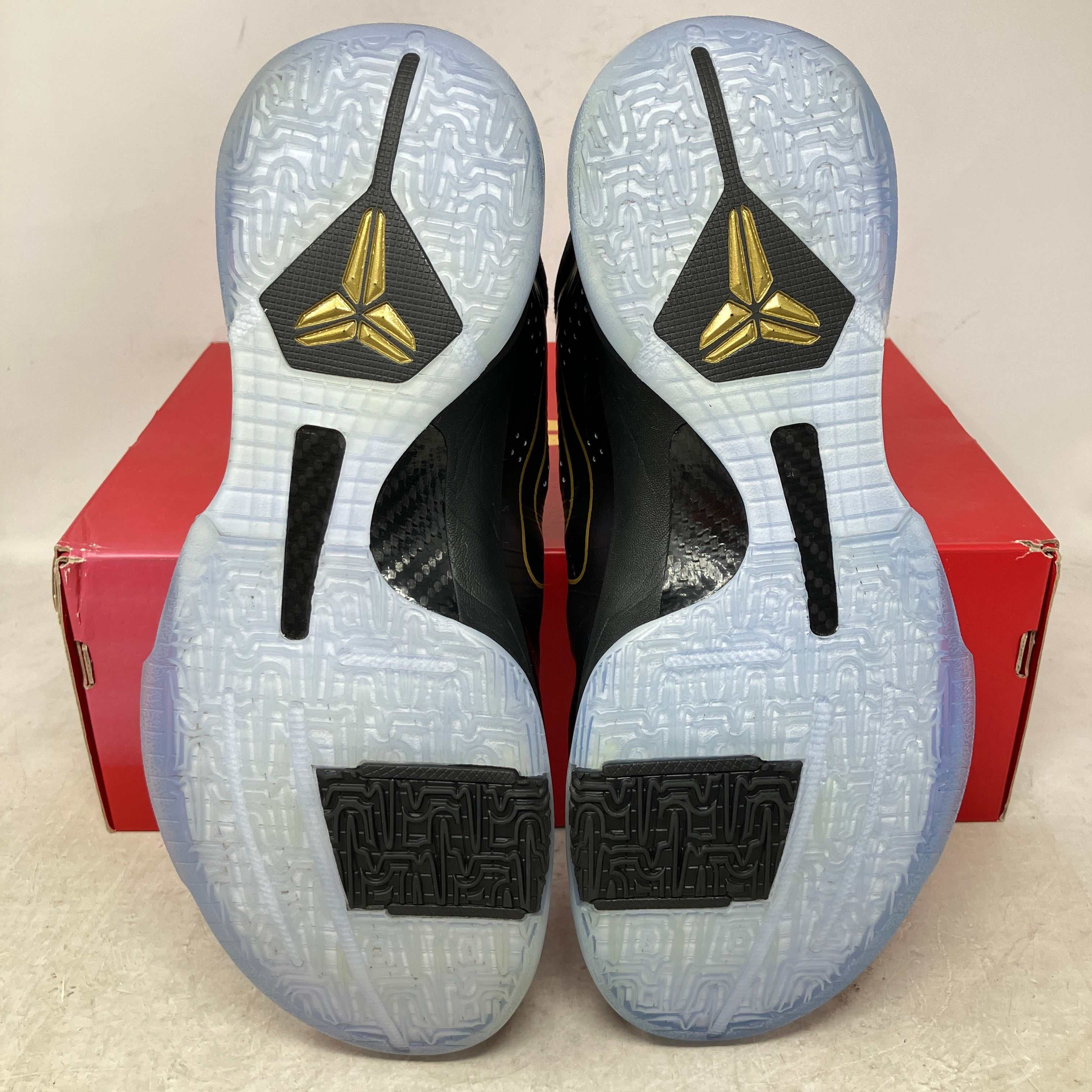 Nike Kobe 5 Protro Year of the Mamba Eggplant