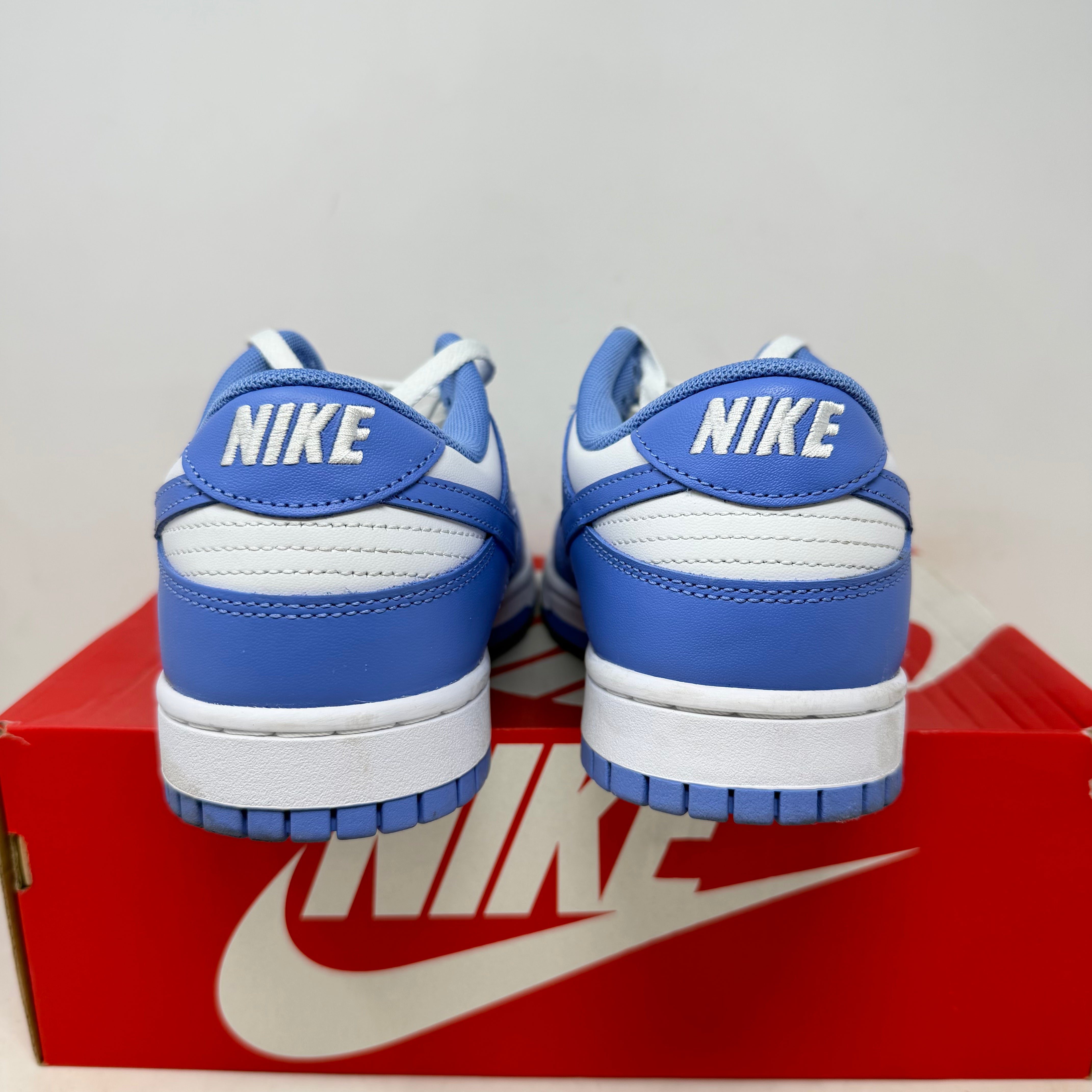 Nike Dunk Low Polar Blue