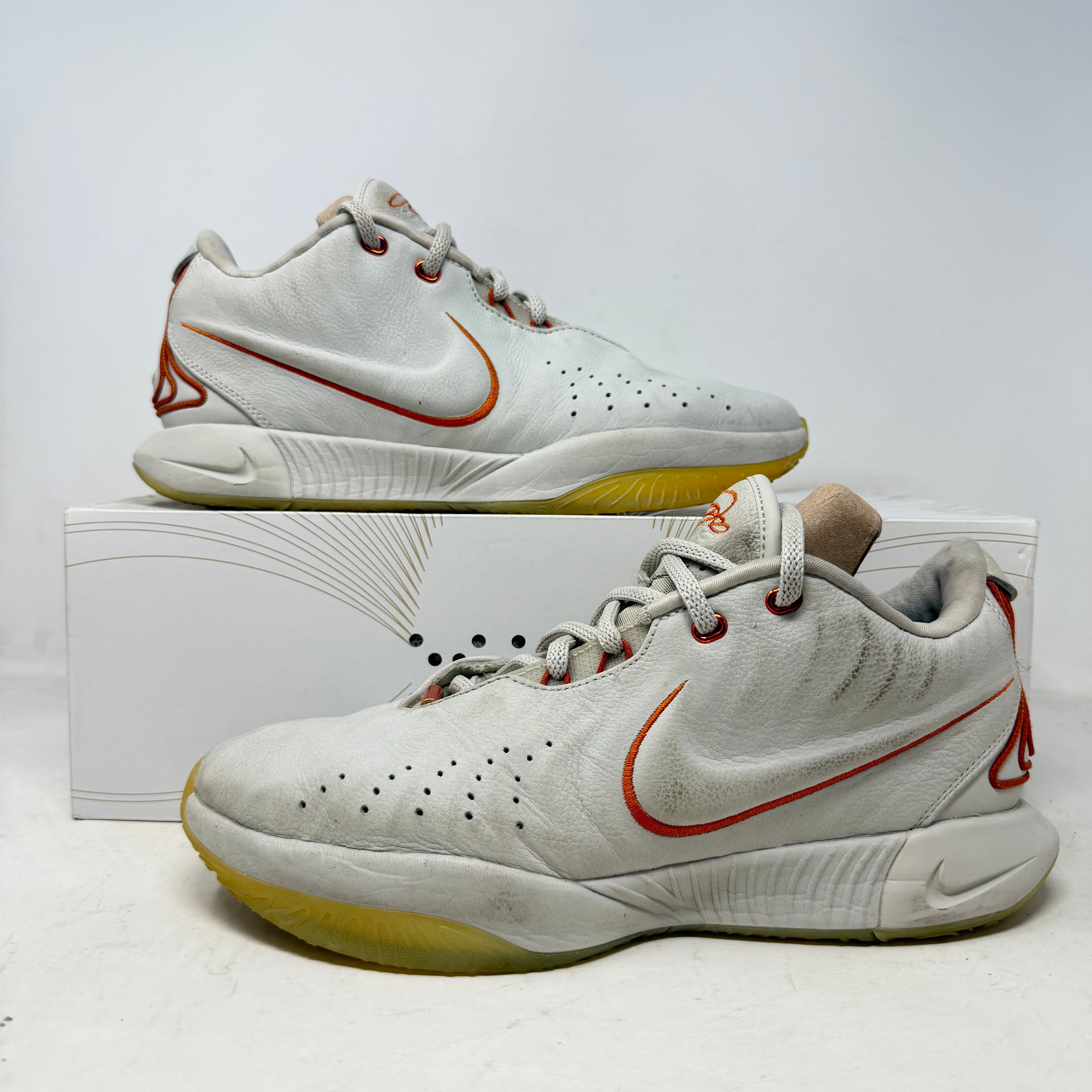 Nike LeBron 21 Akoya