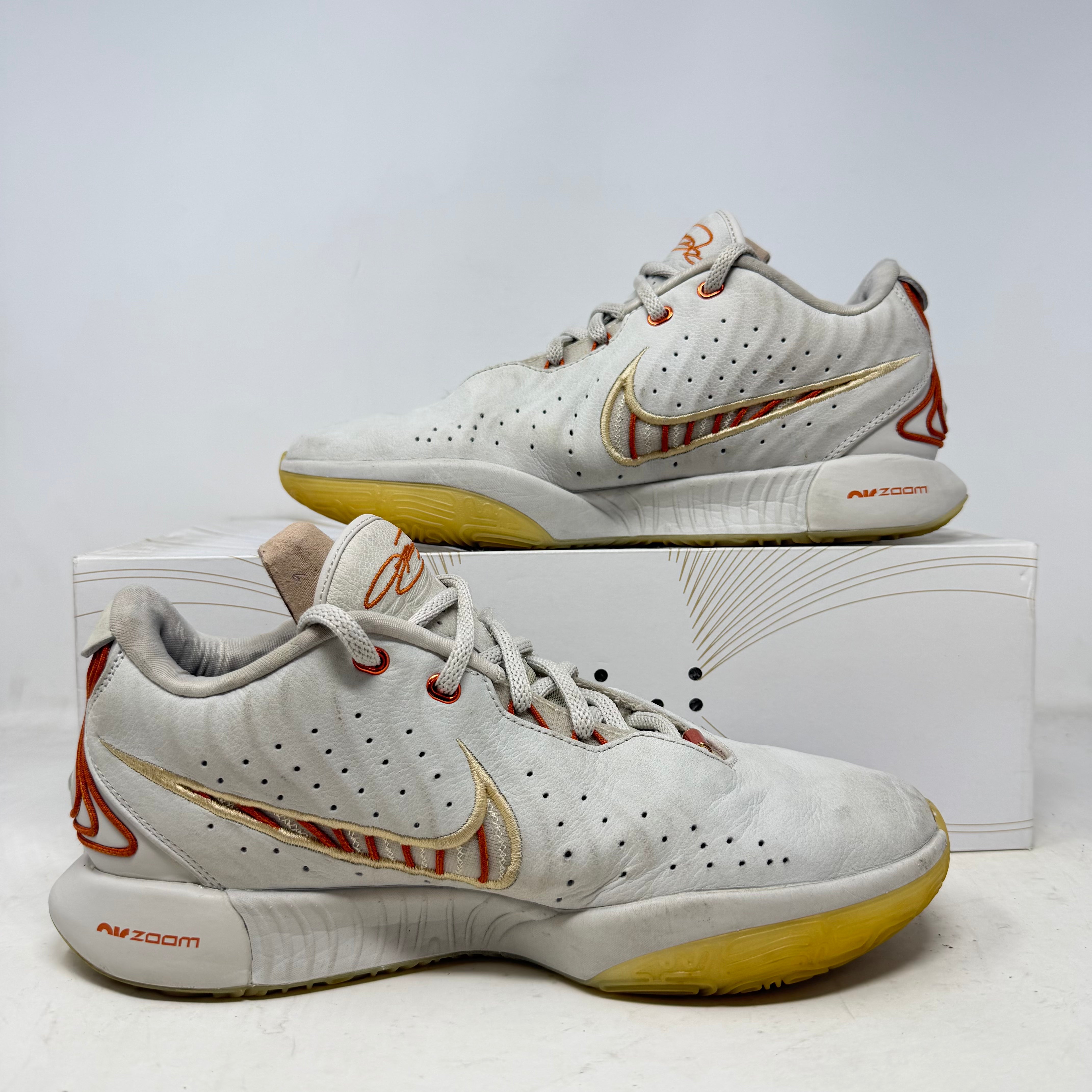 Nike LeBron 21 Akoya