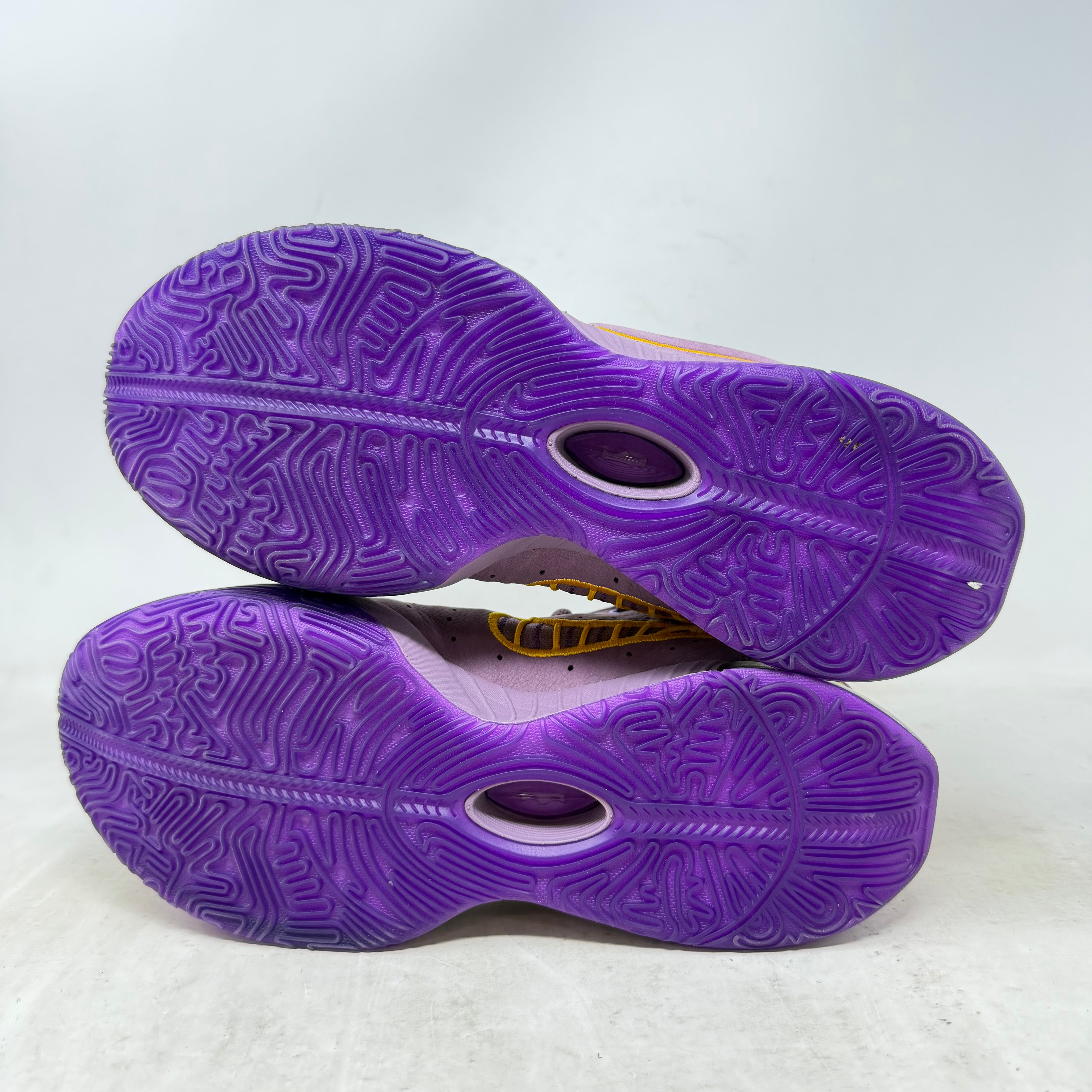Nike LeBron 21 Purple Rain