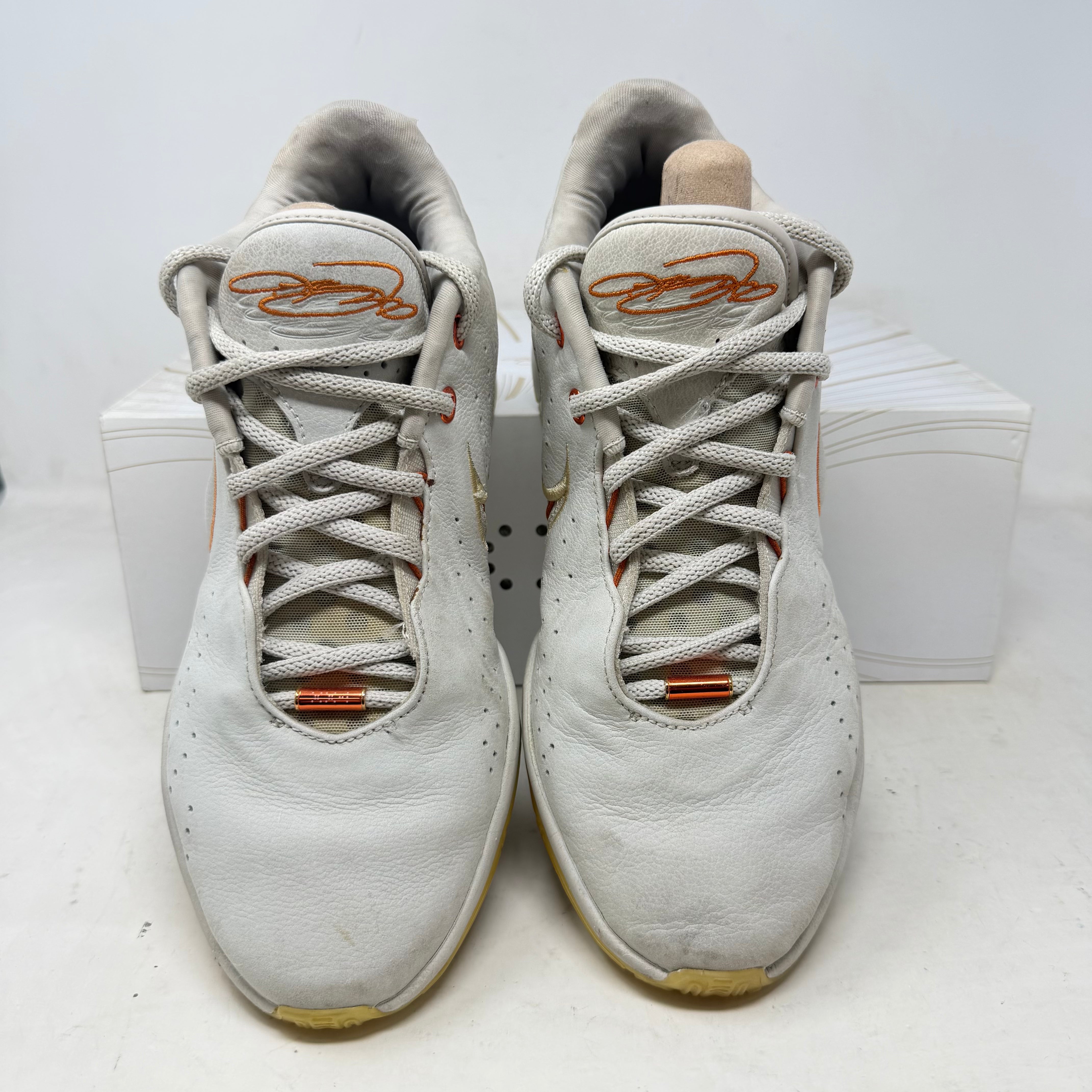 Nike LeBron 21 Akoya