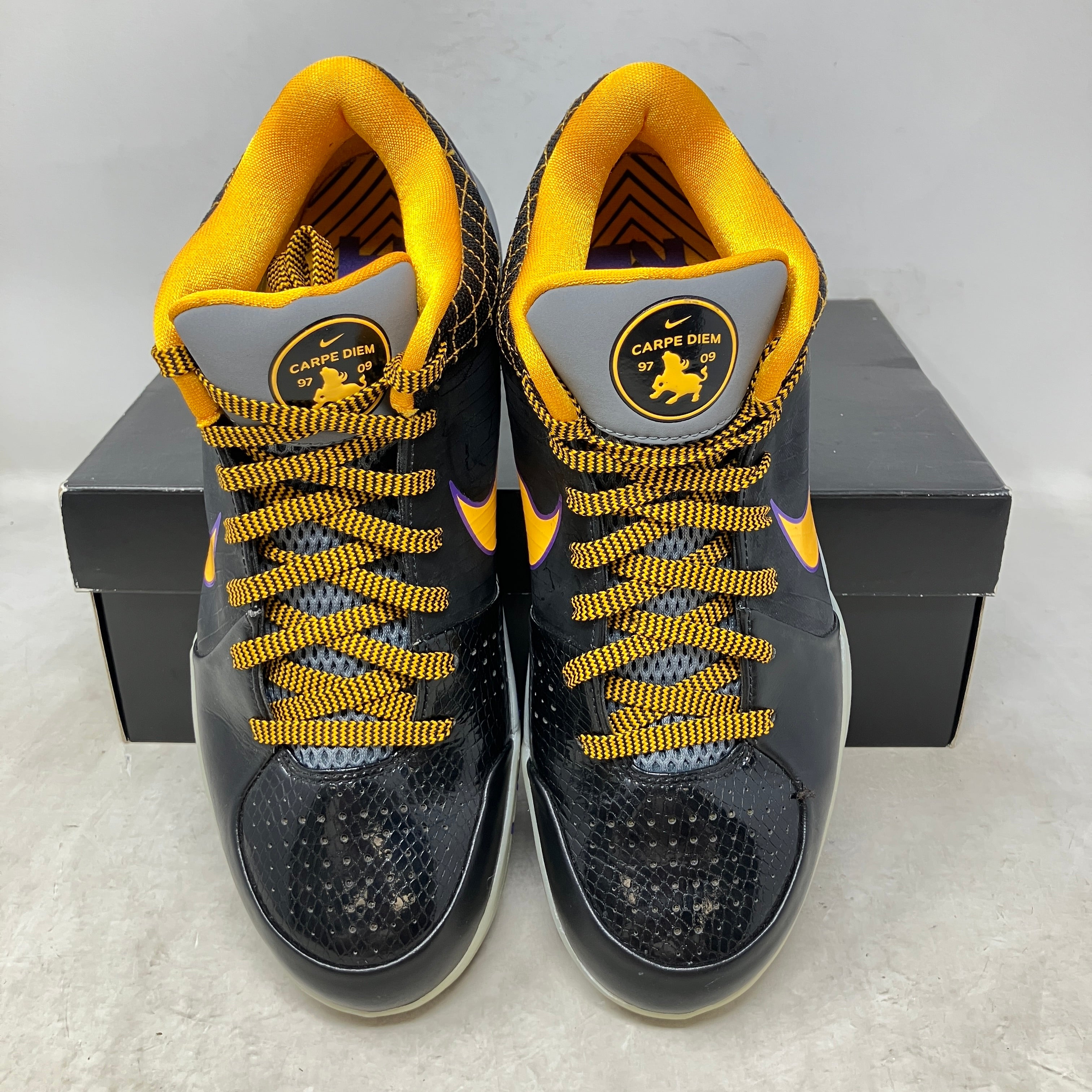Nike Kobe 4 Protro Carpe Diem