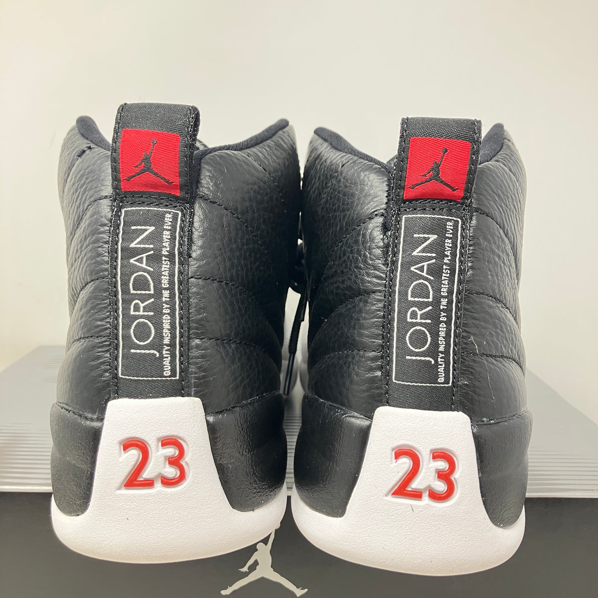 Jordan 12 Retro Playoffs (2004)