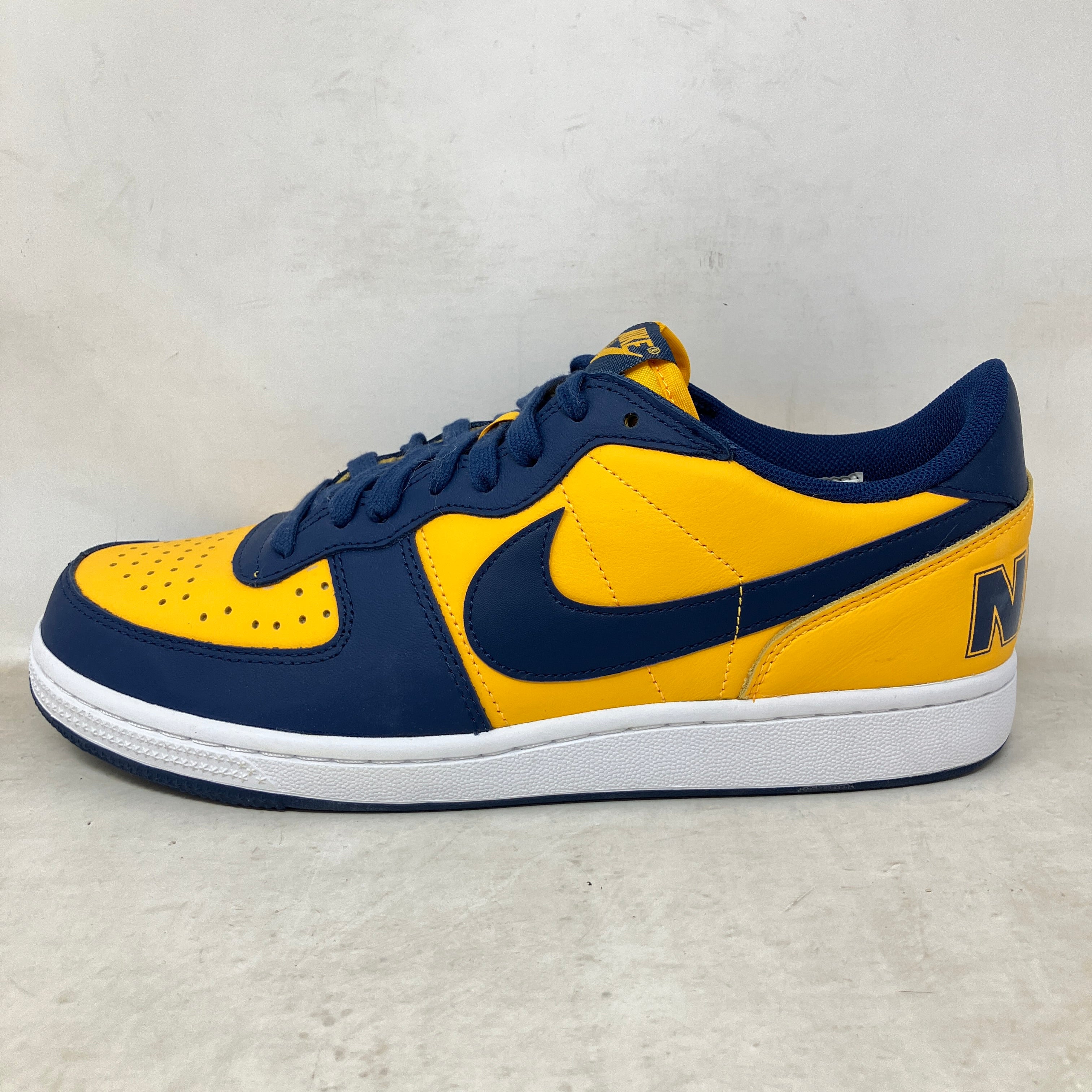 Nike Terminator Low Michigan