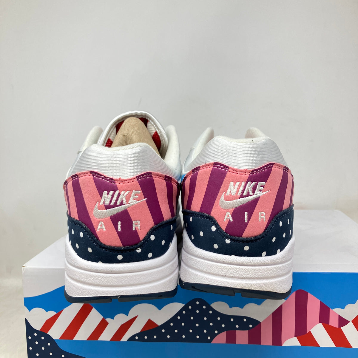 Nike Air Max 1 Parra (2018)