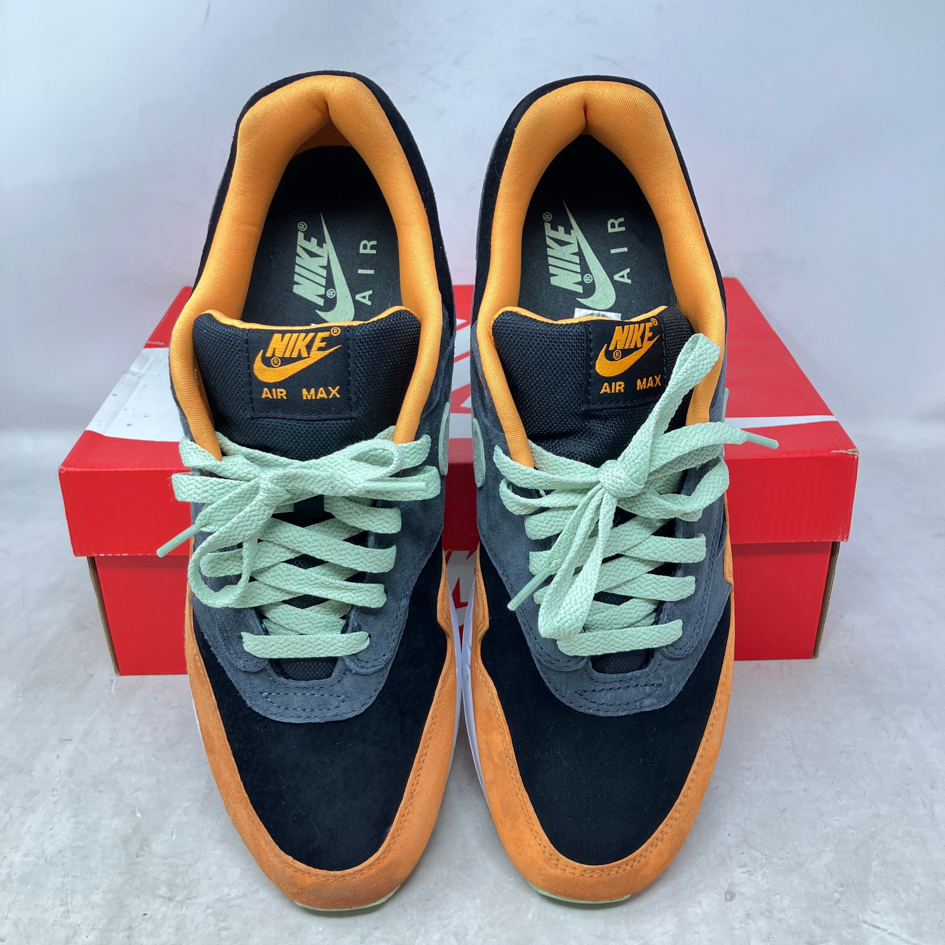 Nike Air Max 1 PRM Duck Honey Dew