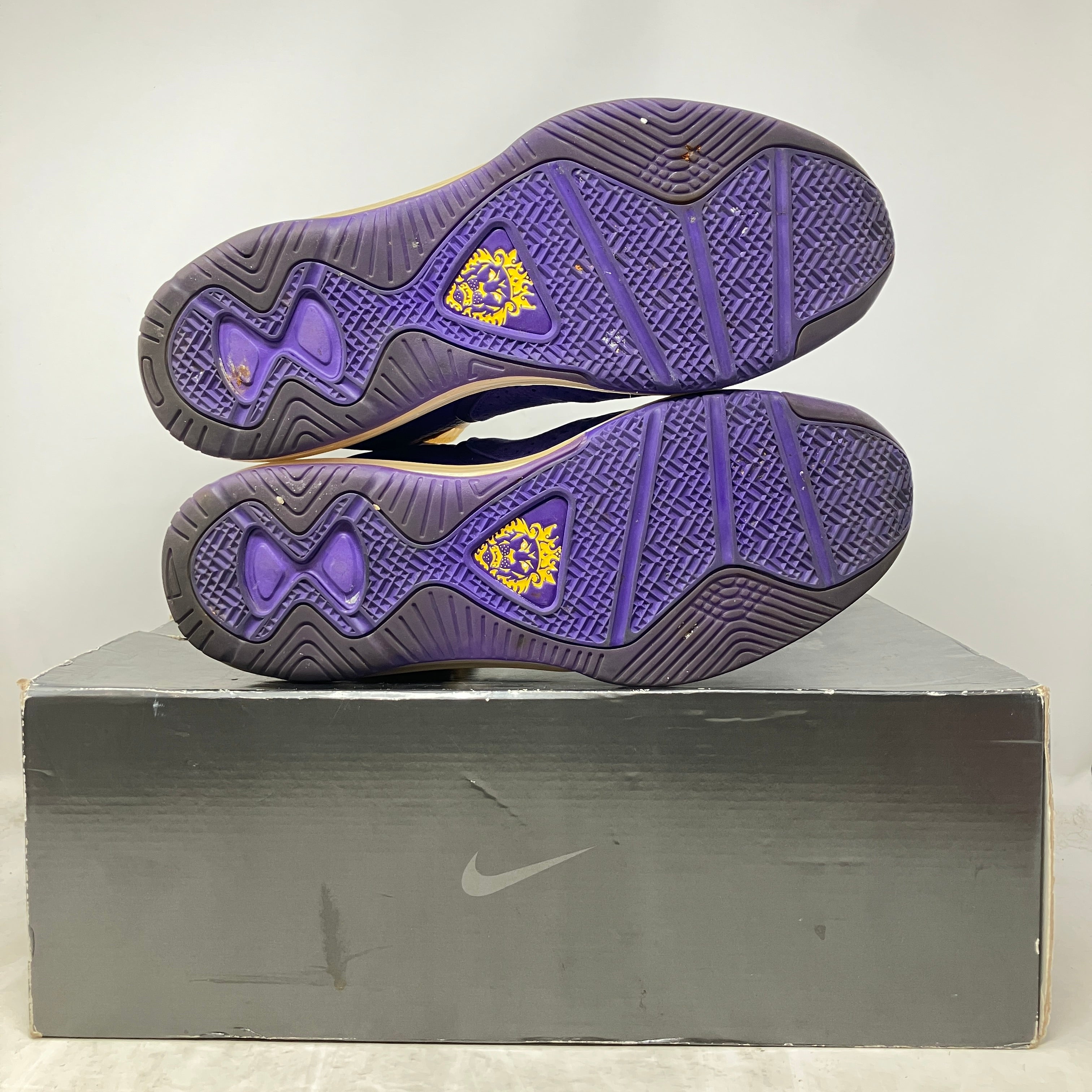 Nike LeBron 8 Lakers