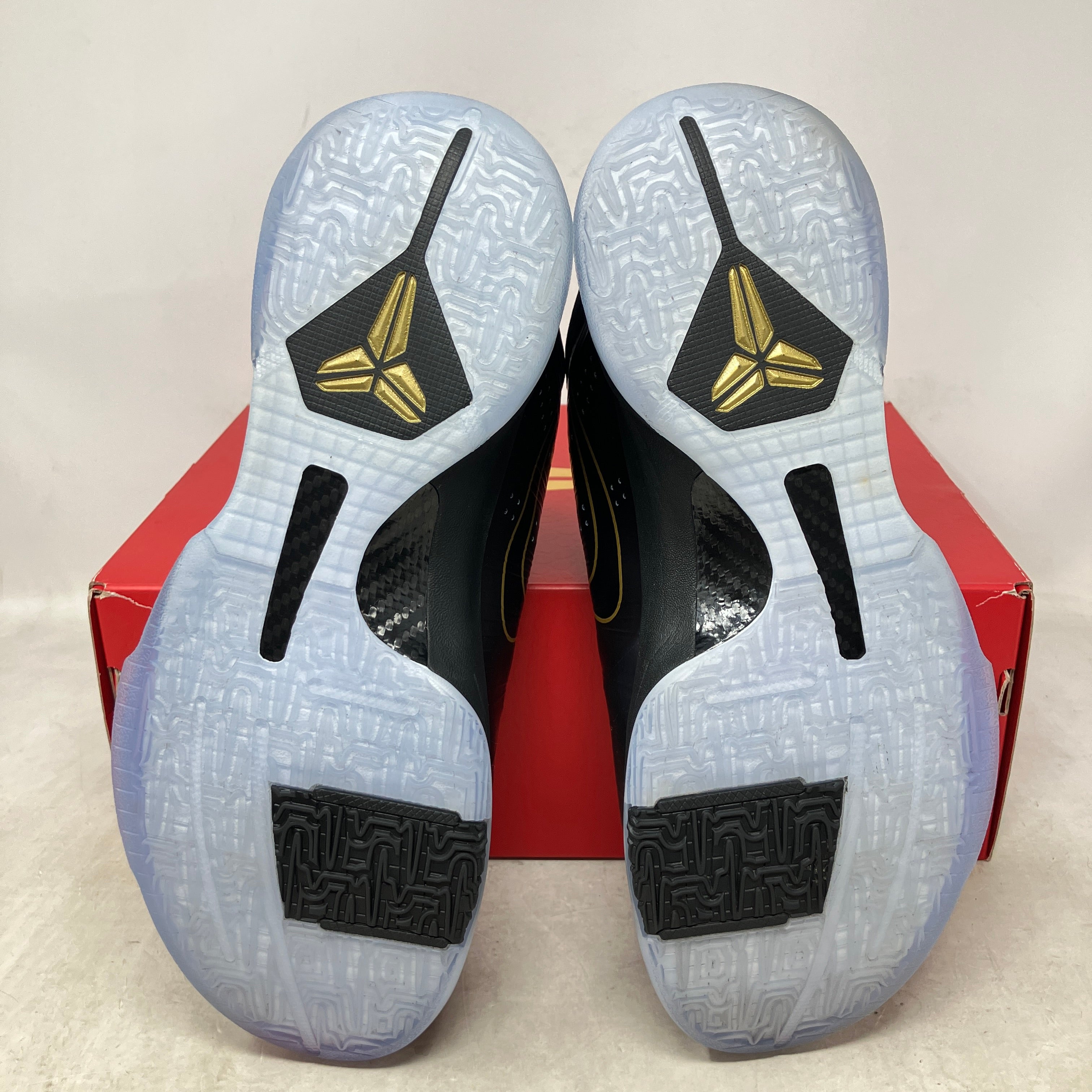 Nike Kobe 5 Protro Year of the Mamba Eggplant