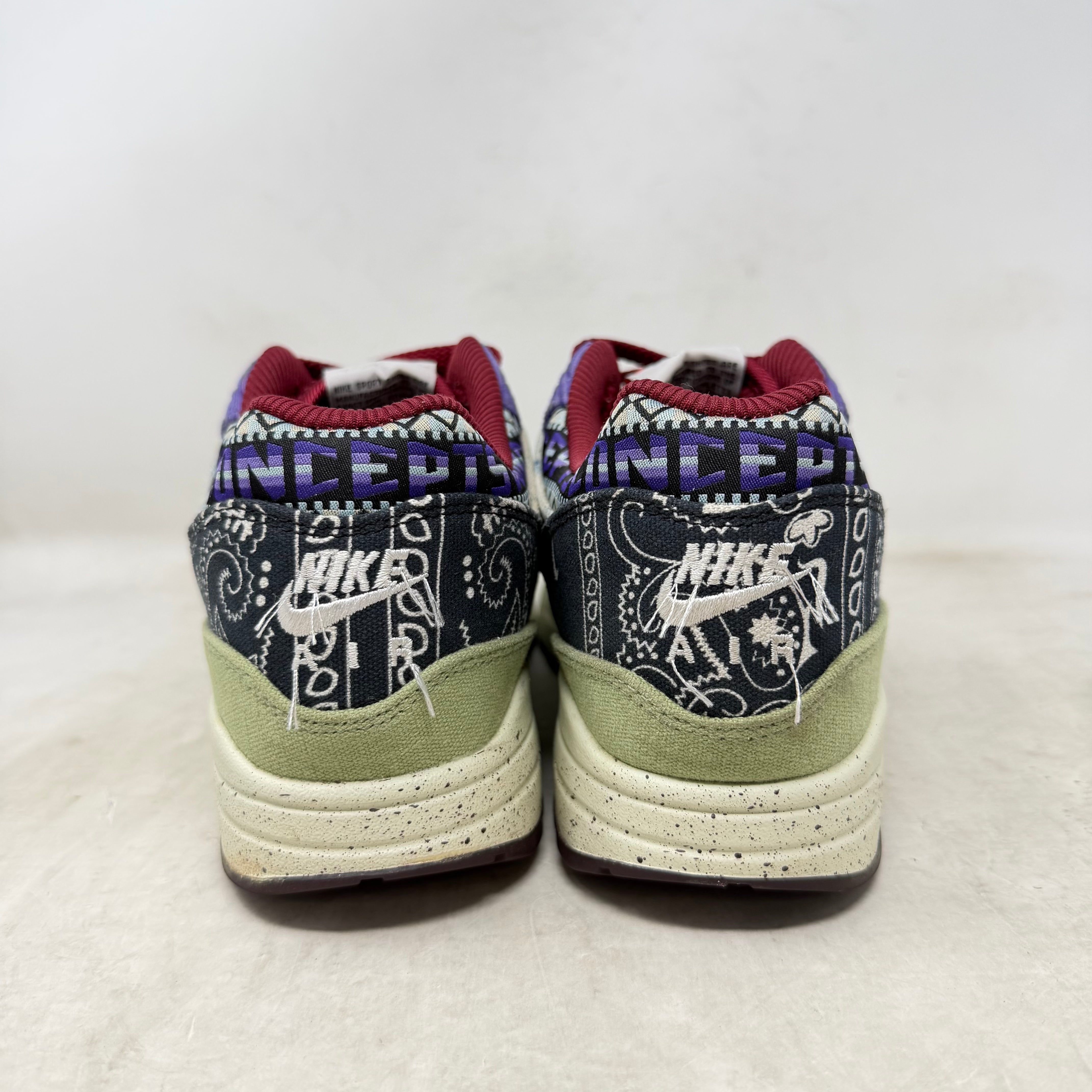 Nike Air Max 1 SP Concepts Mellow
