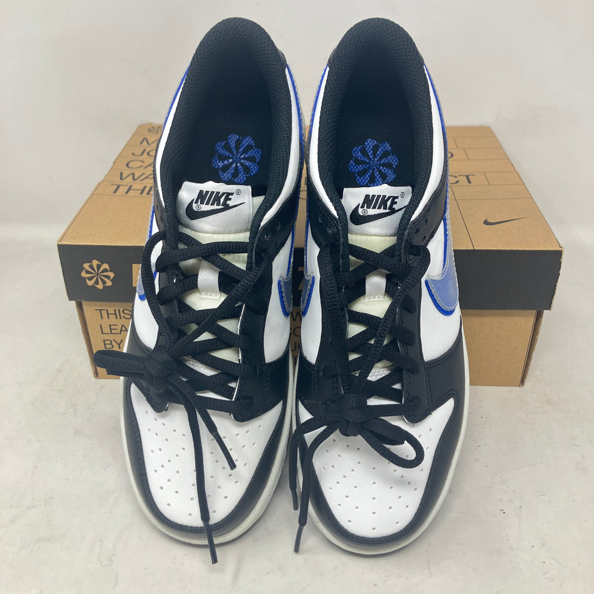 Nike Dunk Low Next Nature TPU Swoosh (GS)