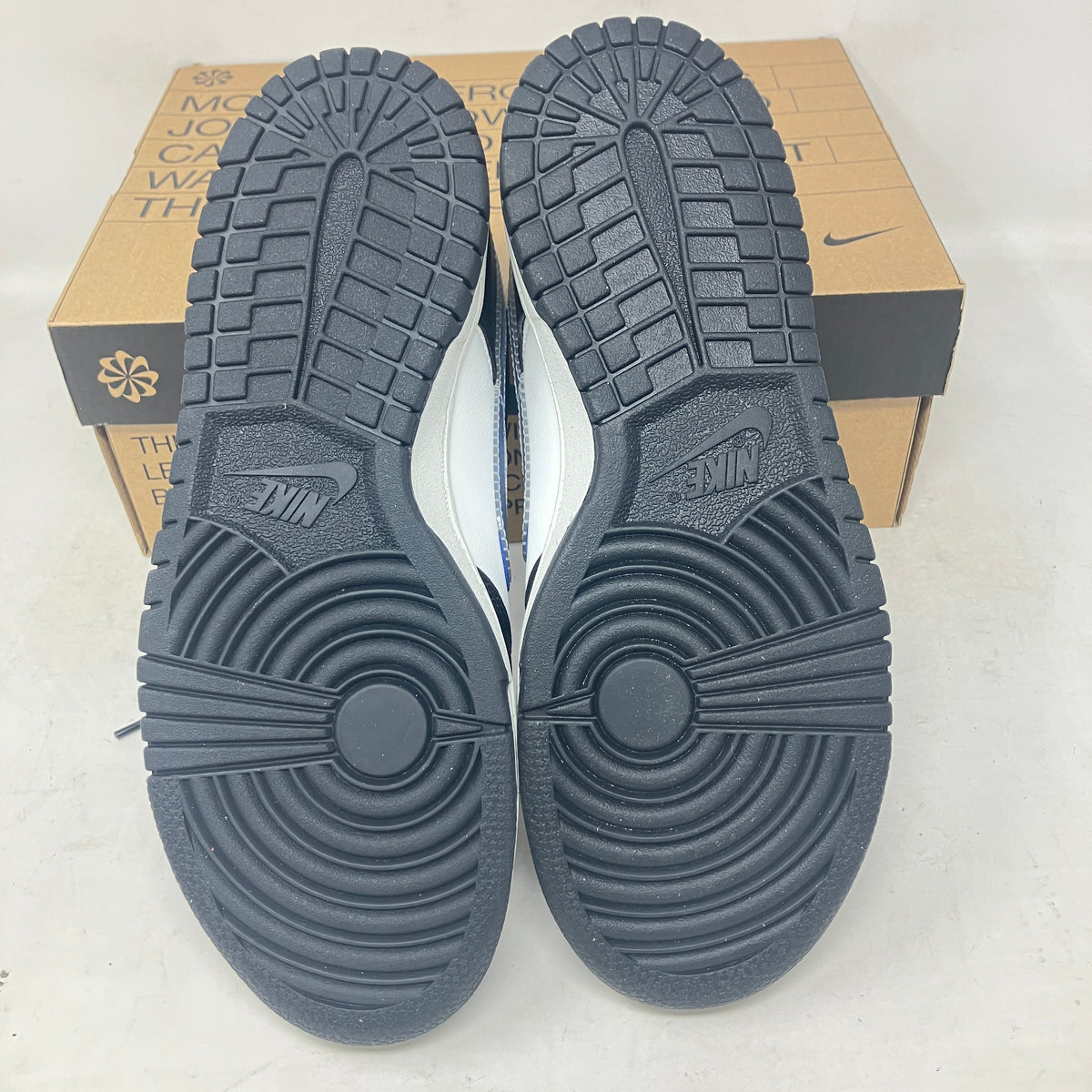 Nike Dunk Low Next Nature TPU Swoosh (GS)