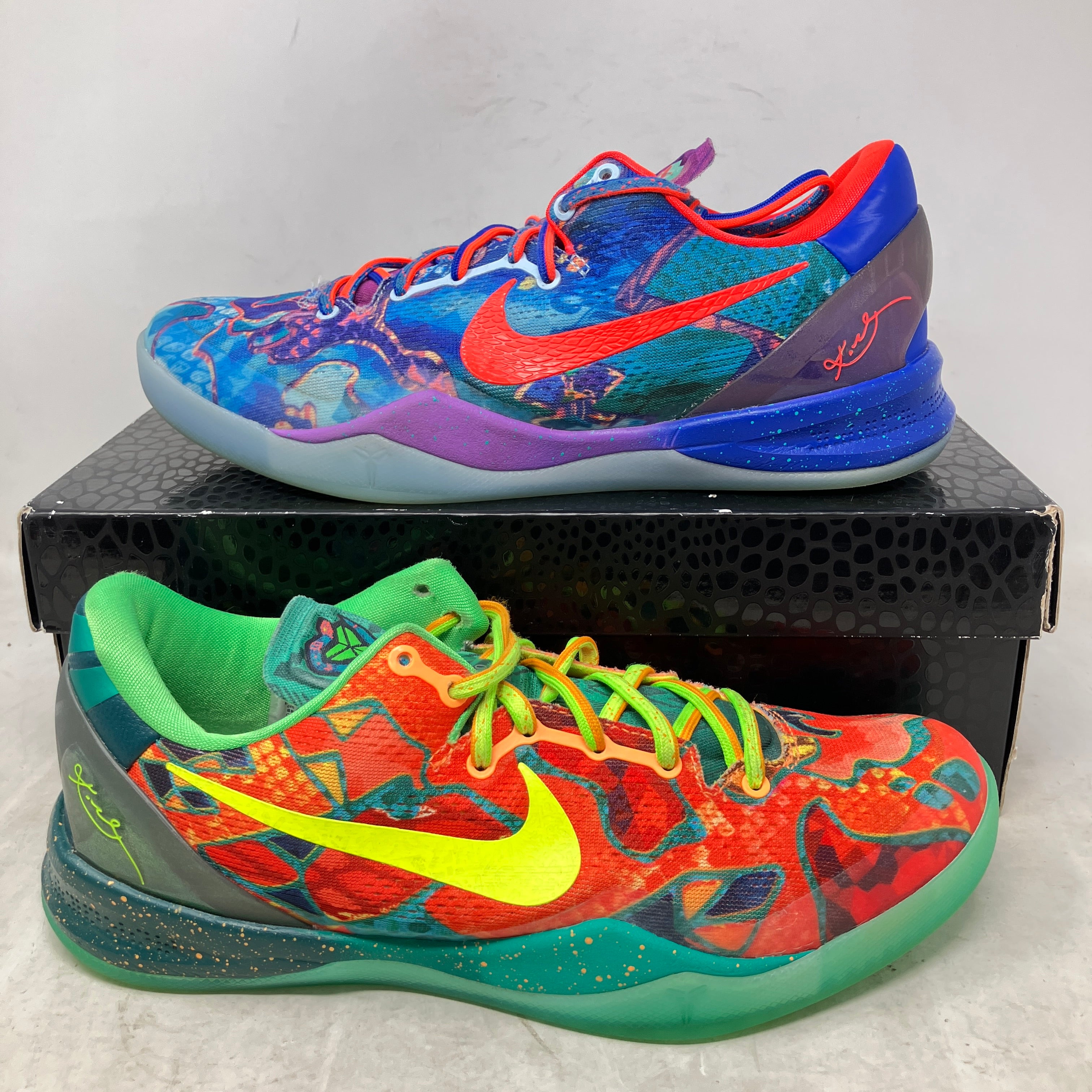 Nike Kobe 8 Protro What The (2025)
