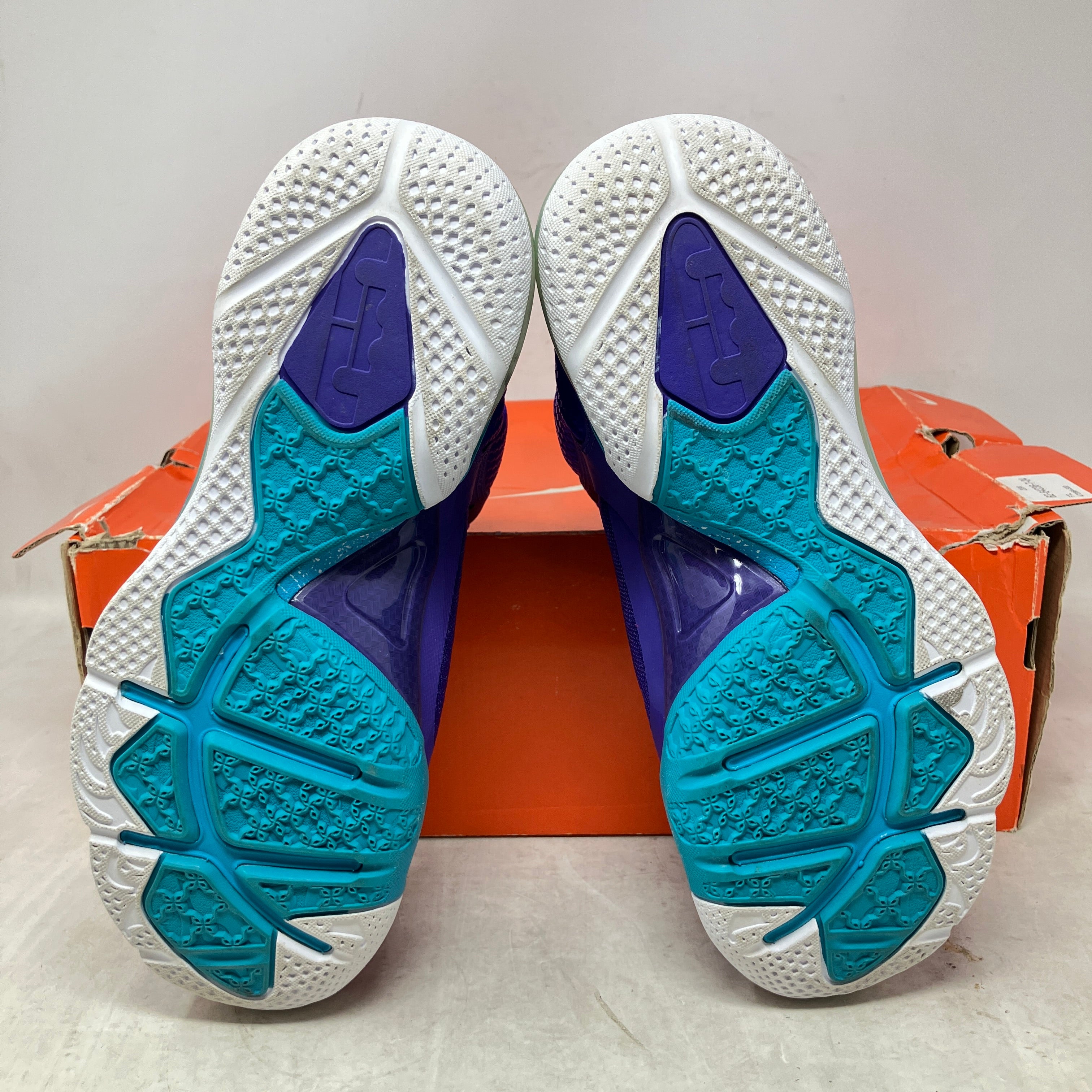 Nike LeBron 9 Summit Lake Hornets (GS)