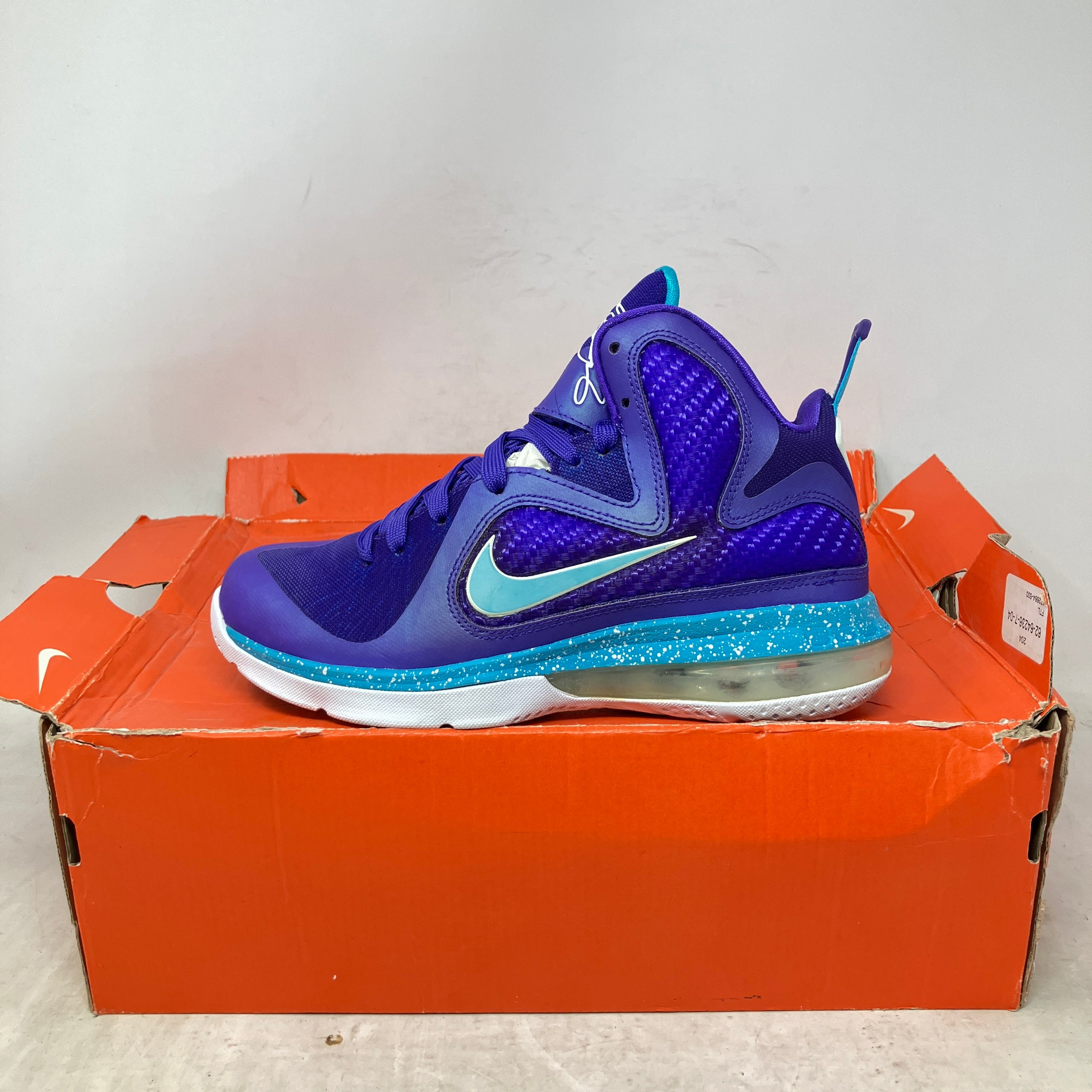 Nike LeBron 9 Summit Lake Hornets (GS)