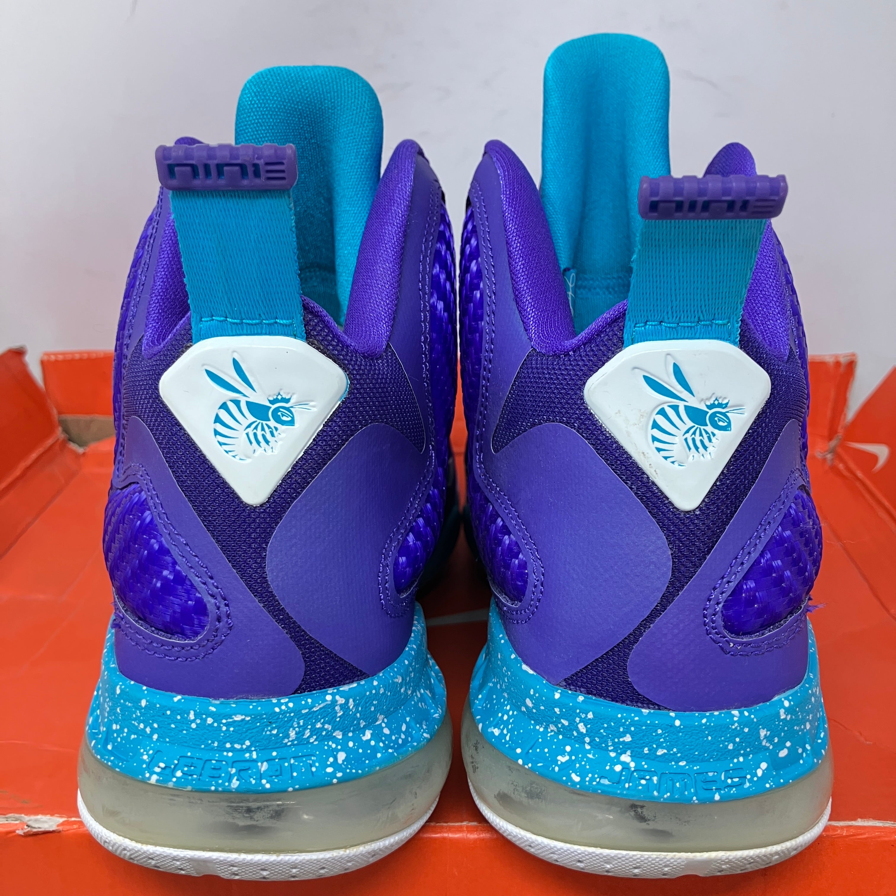 Nike LeBron 9 Summit Lake Hornets (GS)