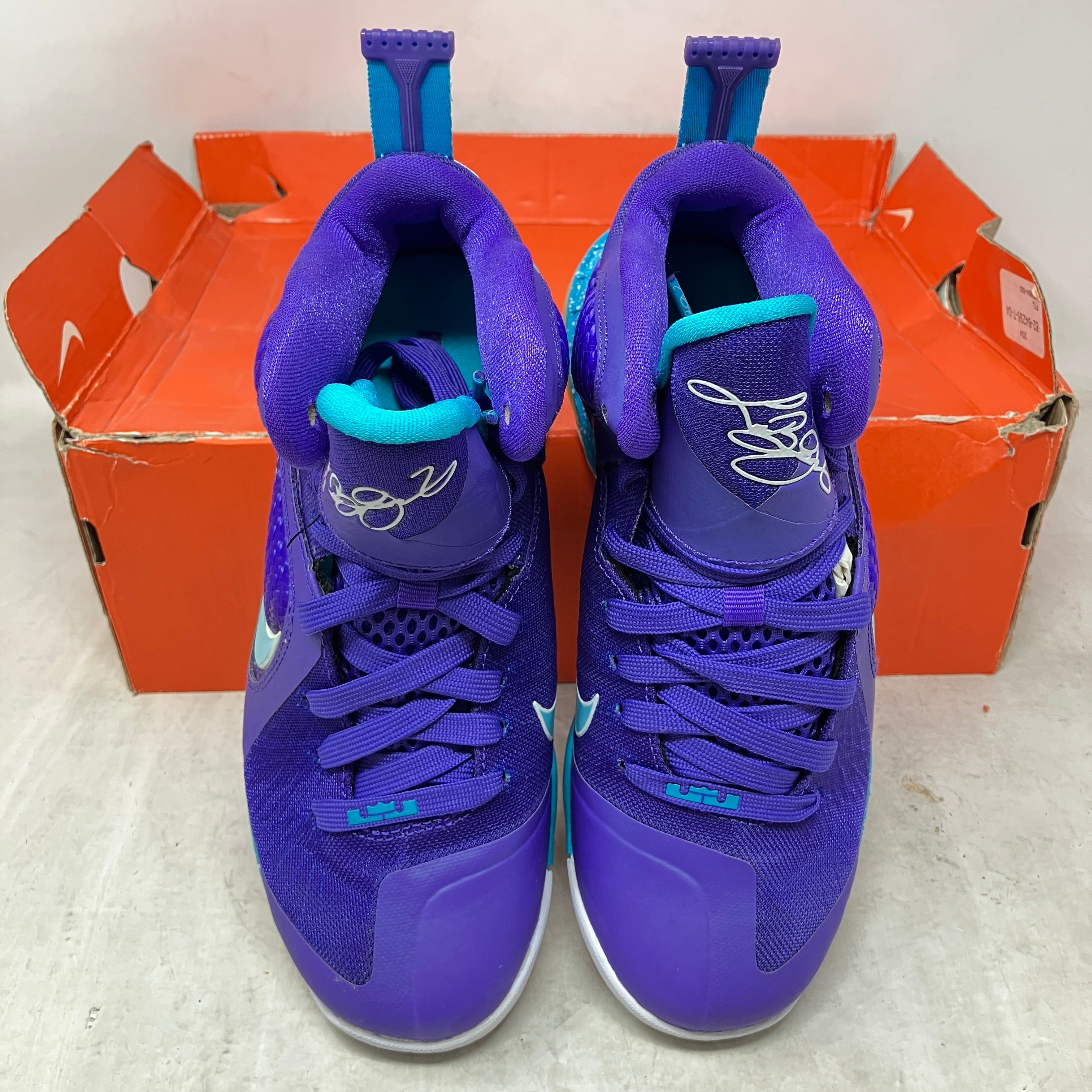 Nike LeBron 9 Summit Lake Hornets (GS)