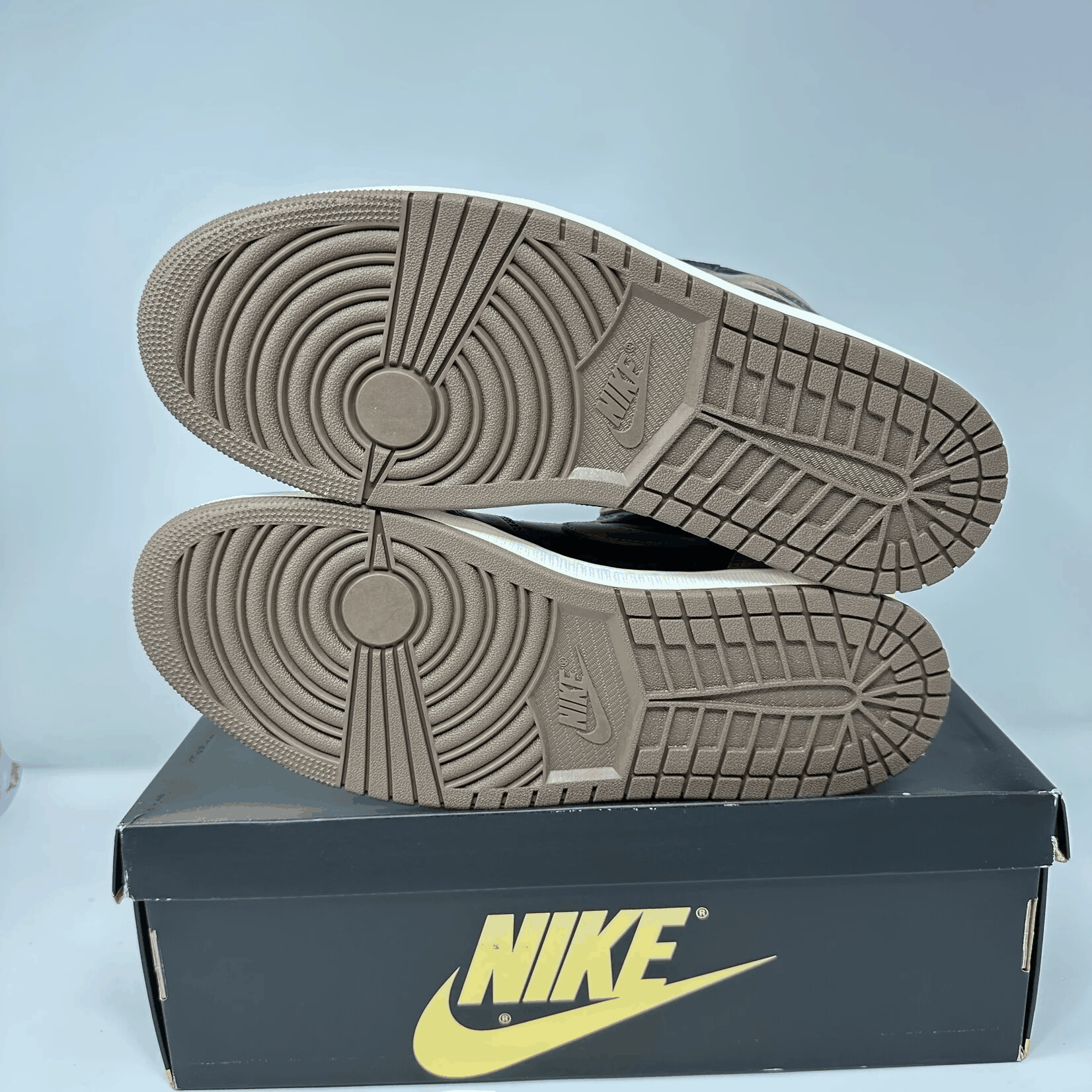 Jordan 1 Retro High OG Palomino