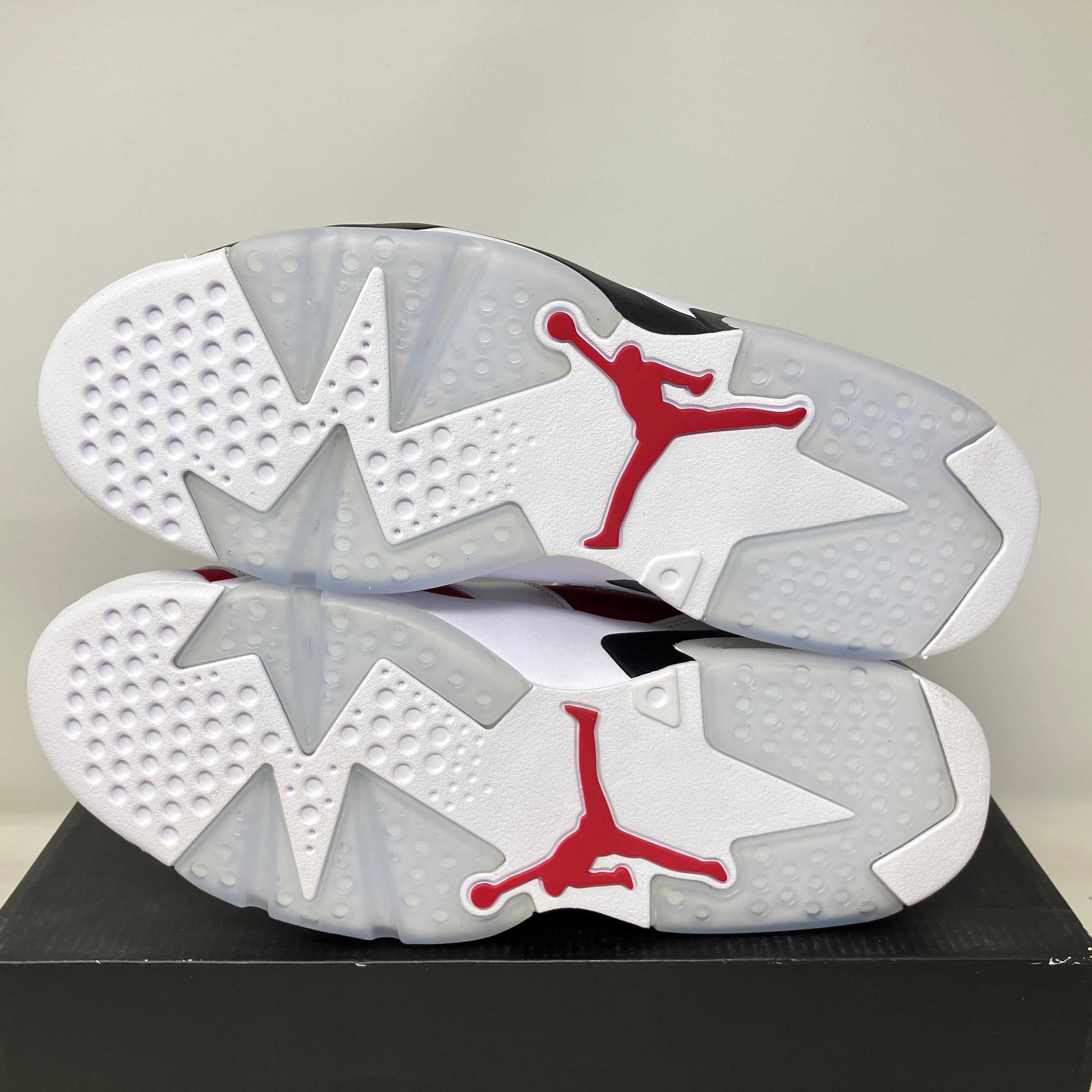 Jordan 6 Retro Carmine (2021)