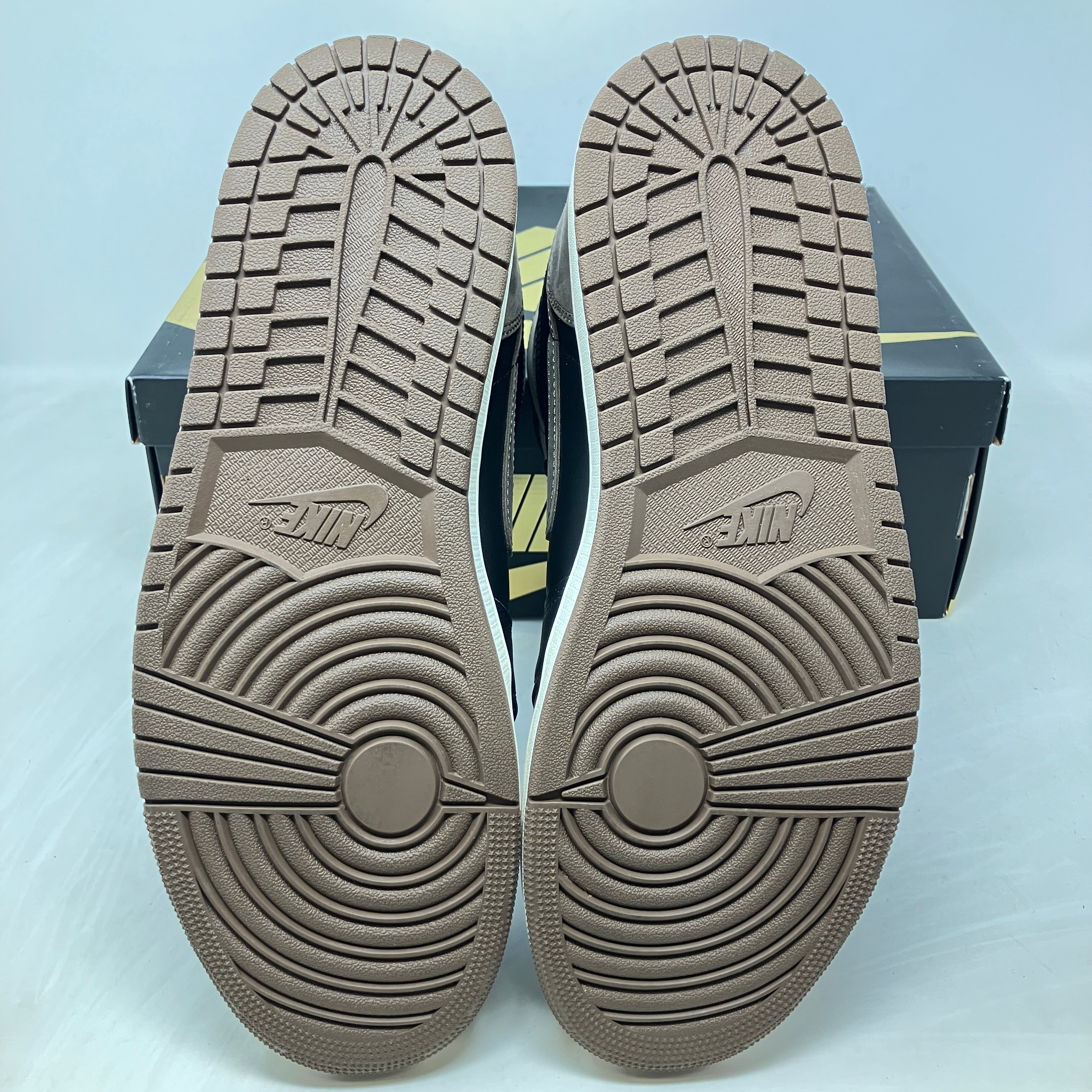 Jordan 1 Retro High OG Palomino