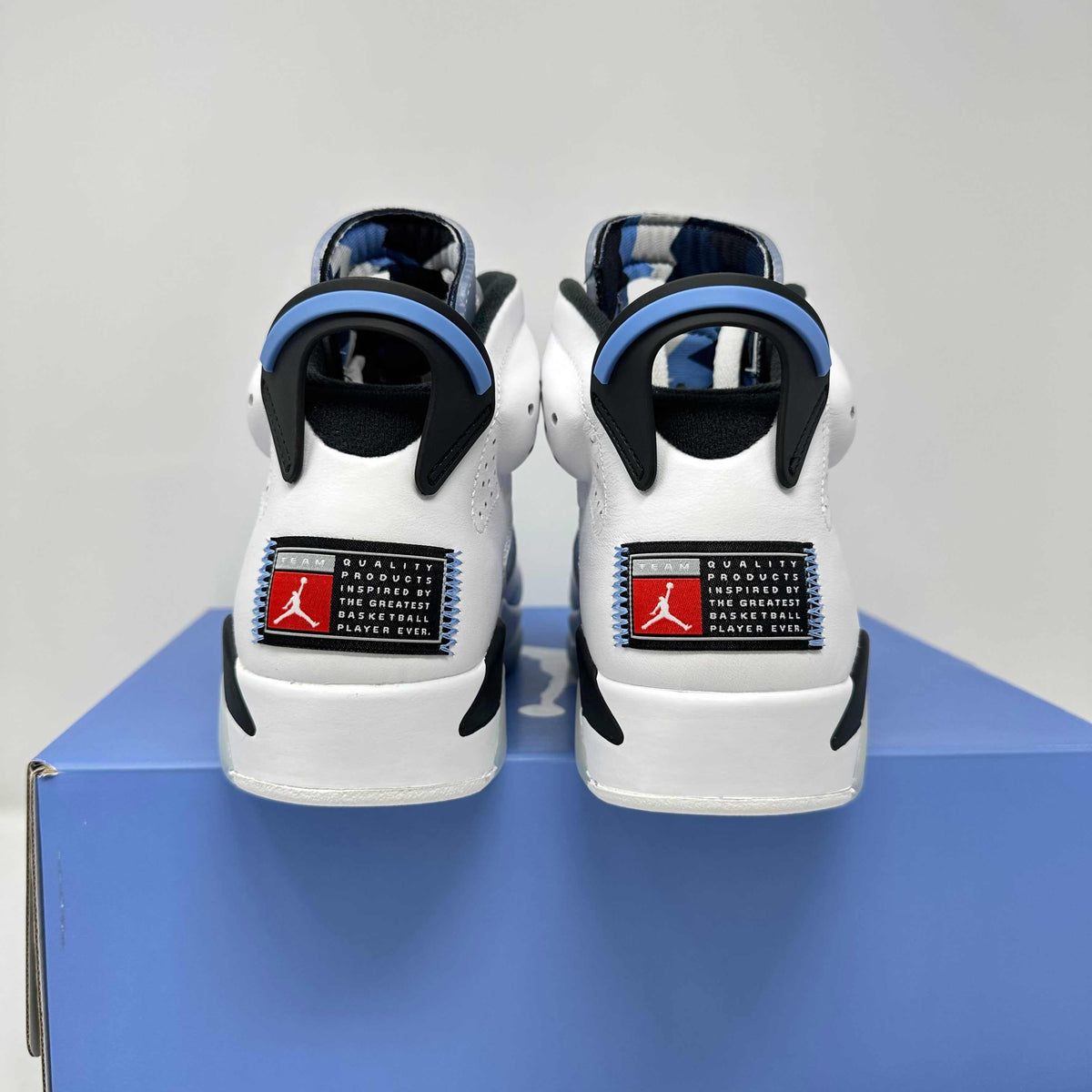 Jordan 6 Retro UNC White