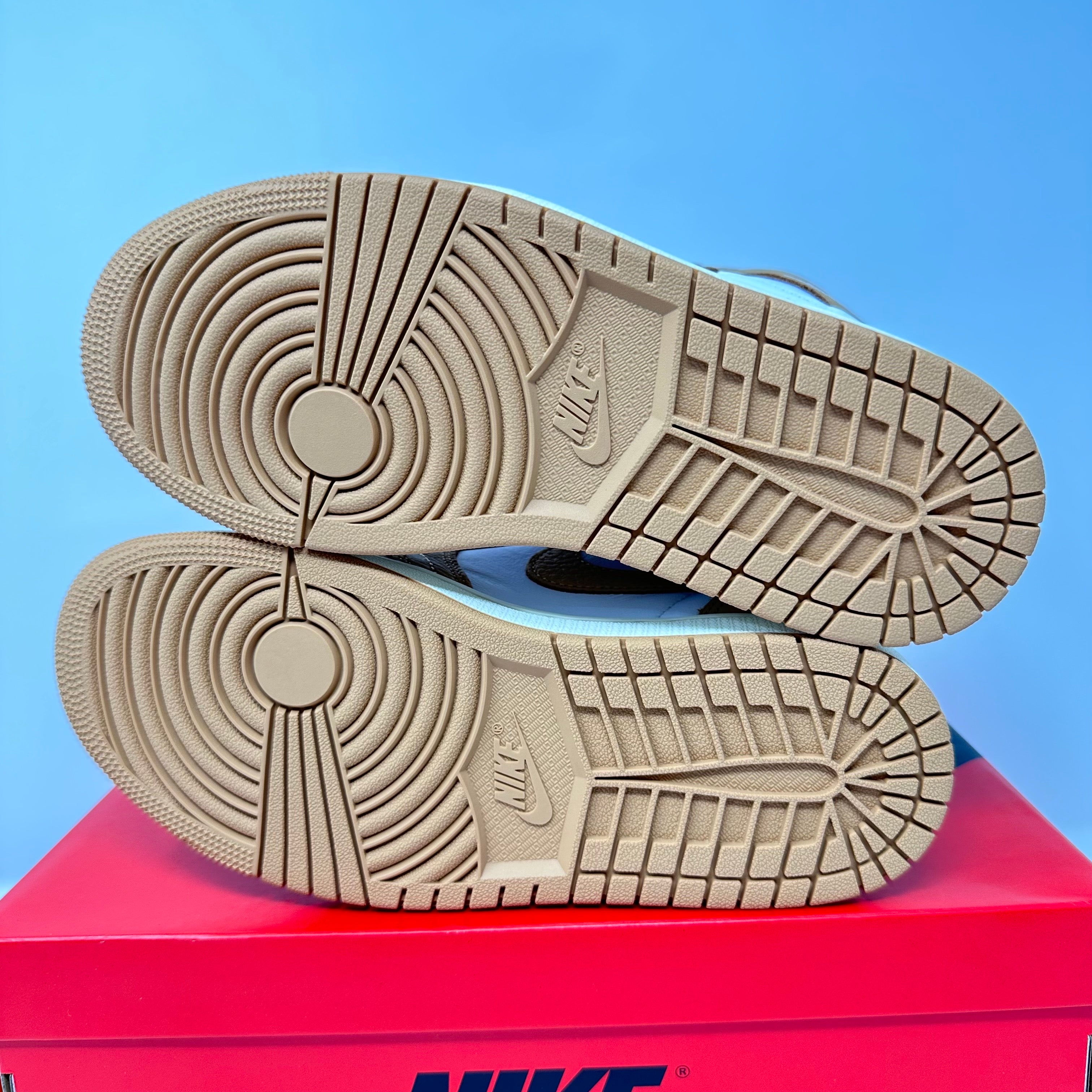 Jordan 1 Retro High OG Praline (Women's)