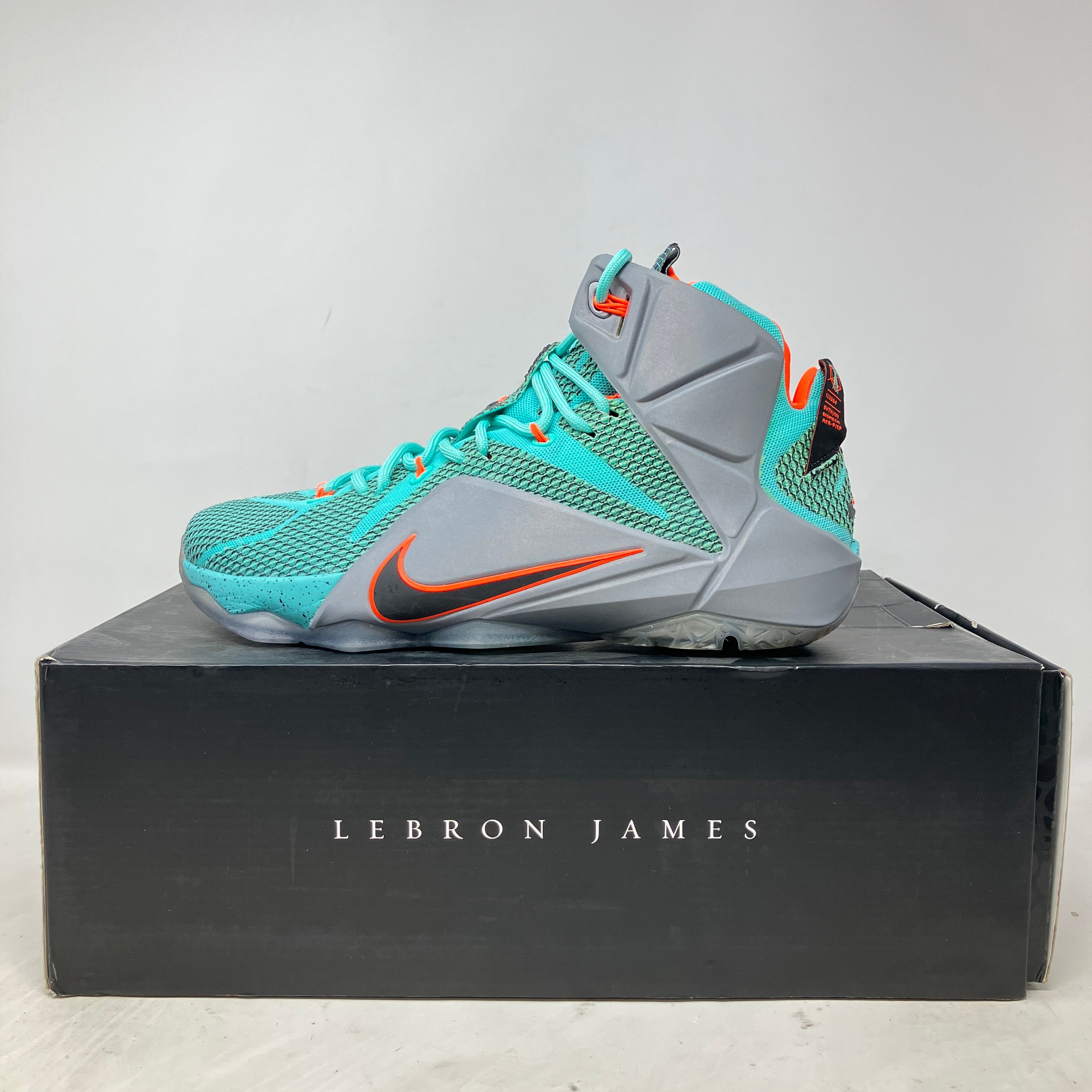 Nike LeBron 12 NSRL