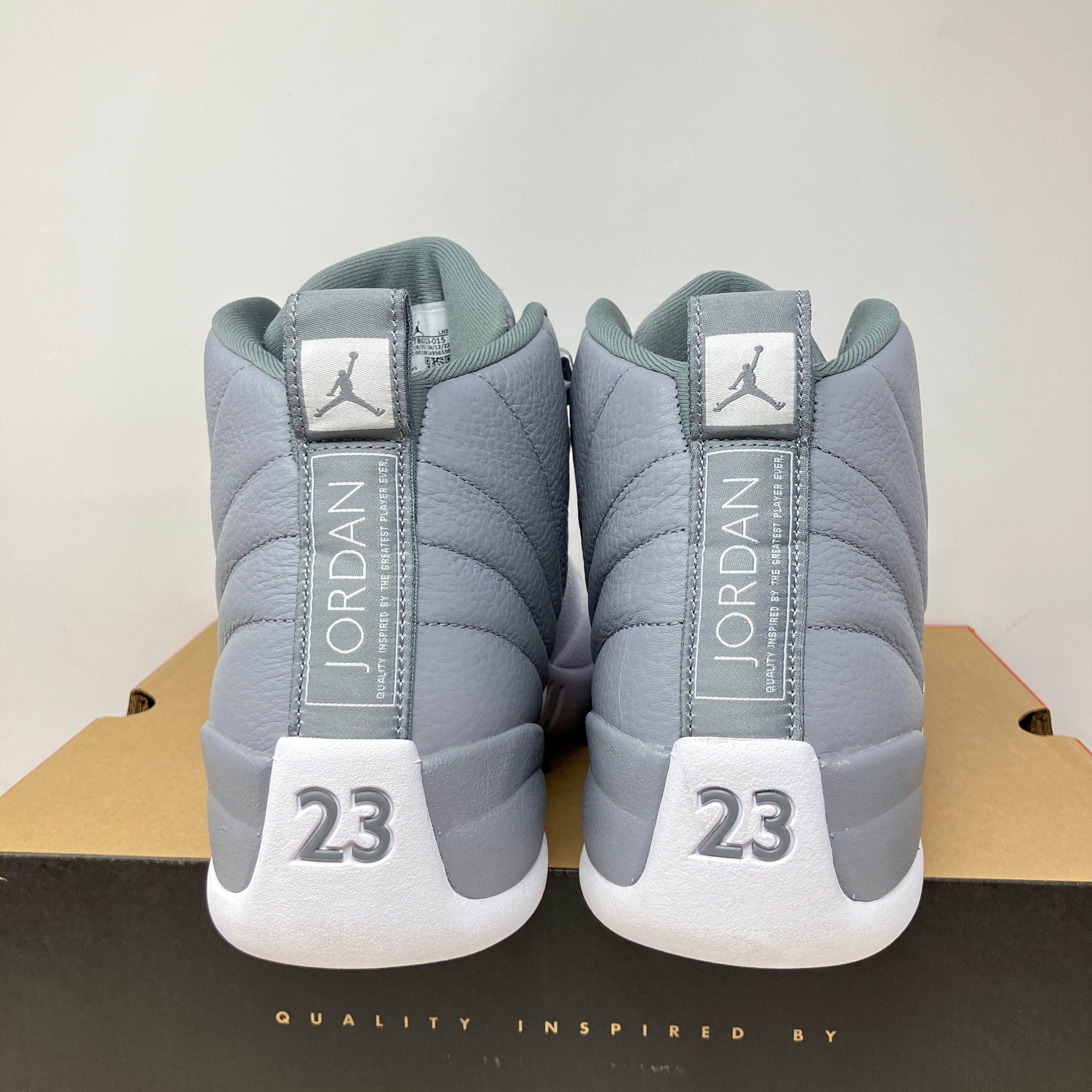 Jordan 12 Retro Stealth