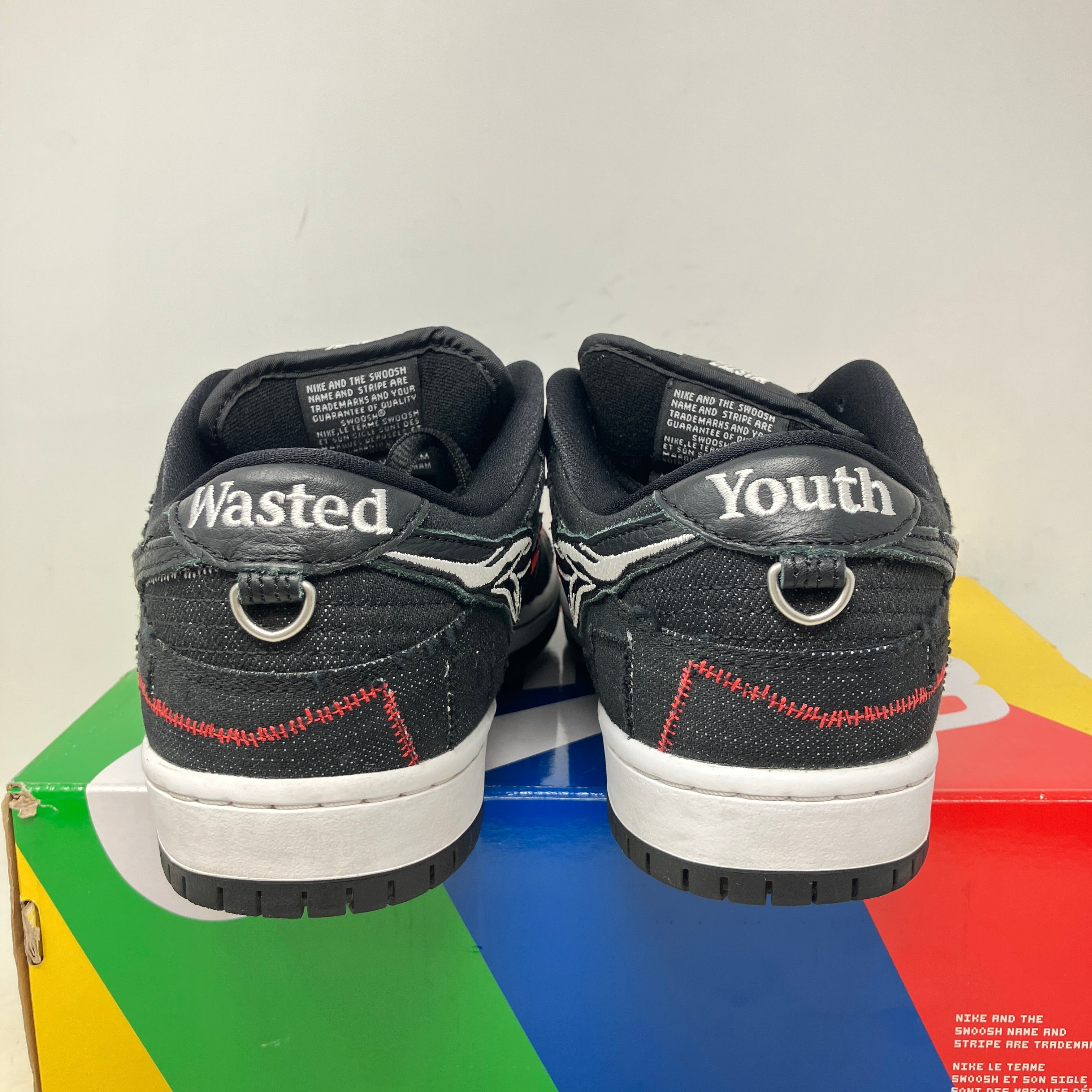 Nike SB Dunk Low Wasted Youth