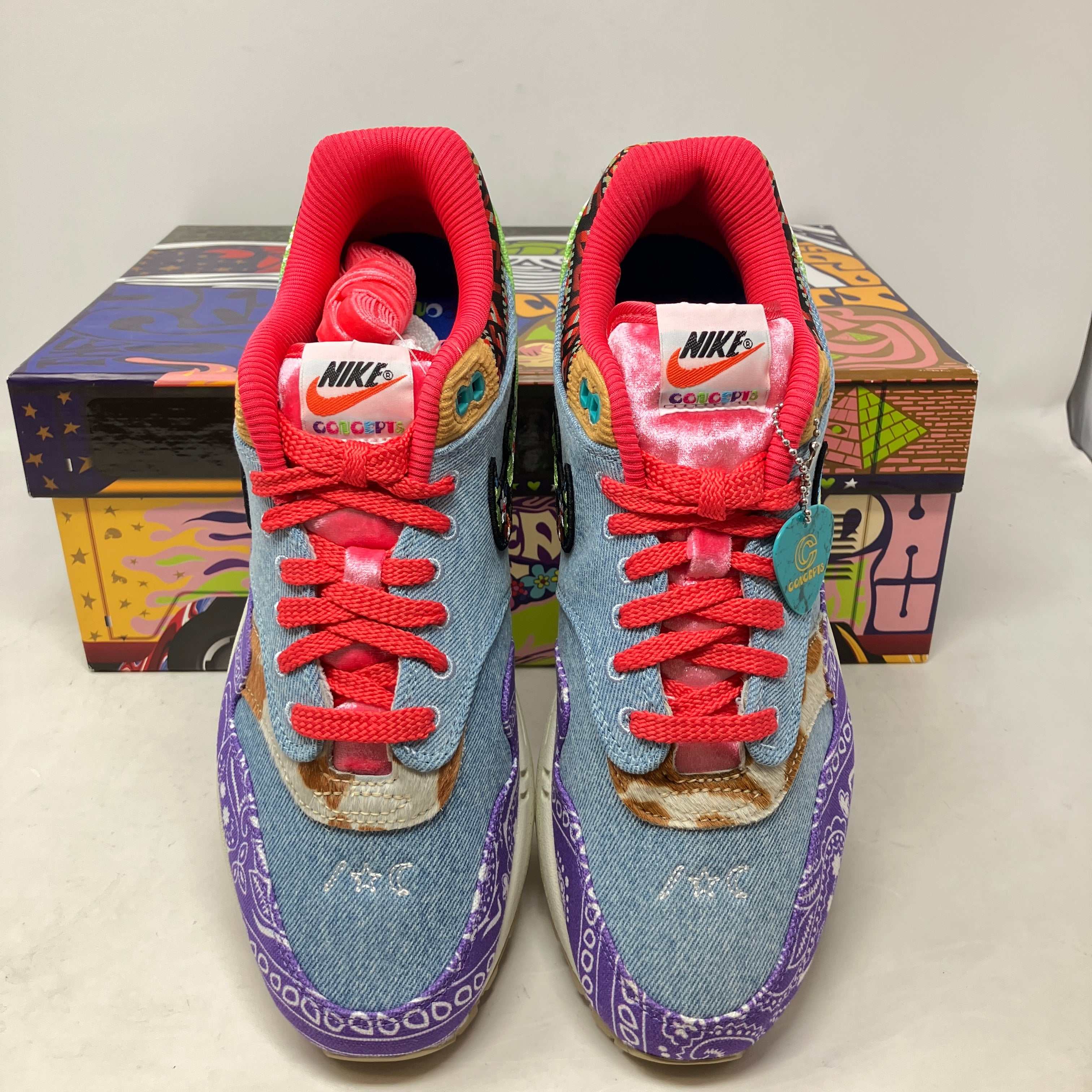 Nike Air Max 1 SP Concepts Far Out (Special Box)
