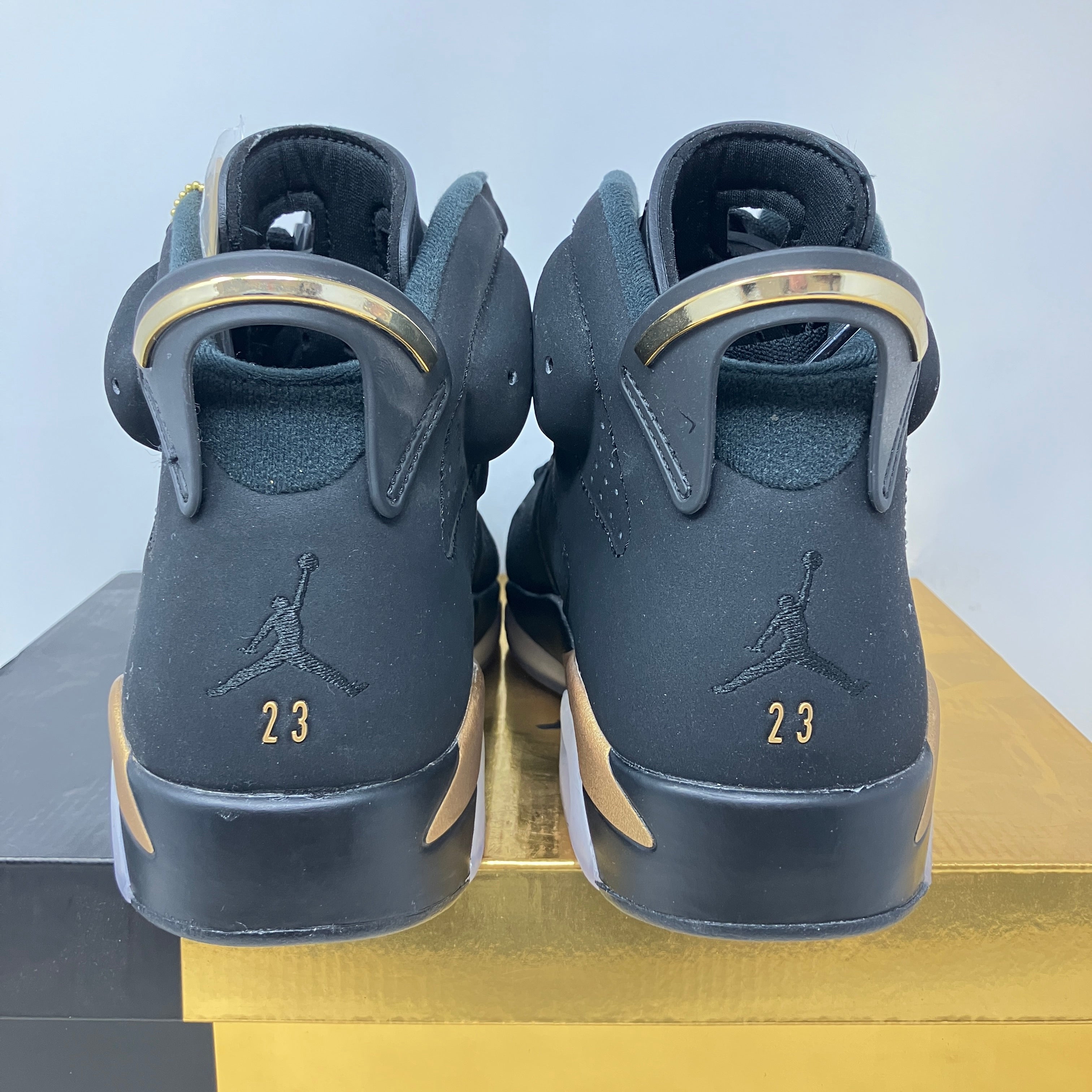 Jordan 6 Retro DMP (2020)