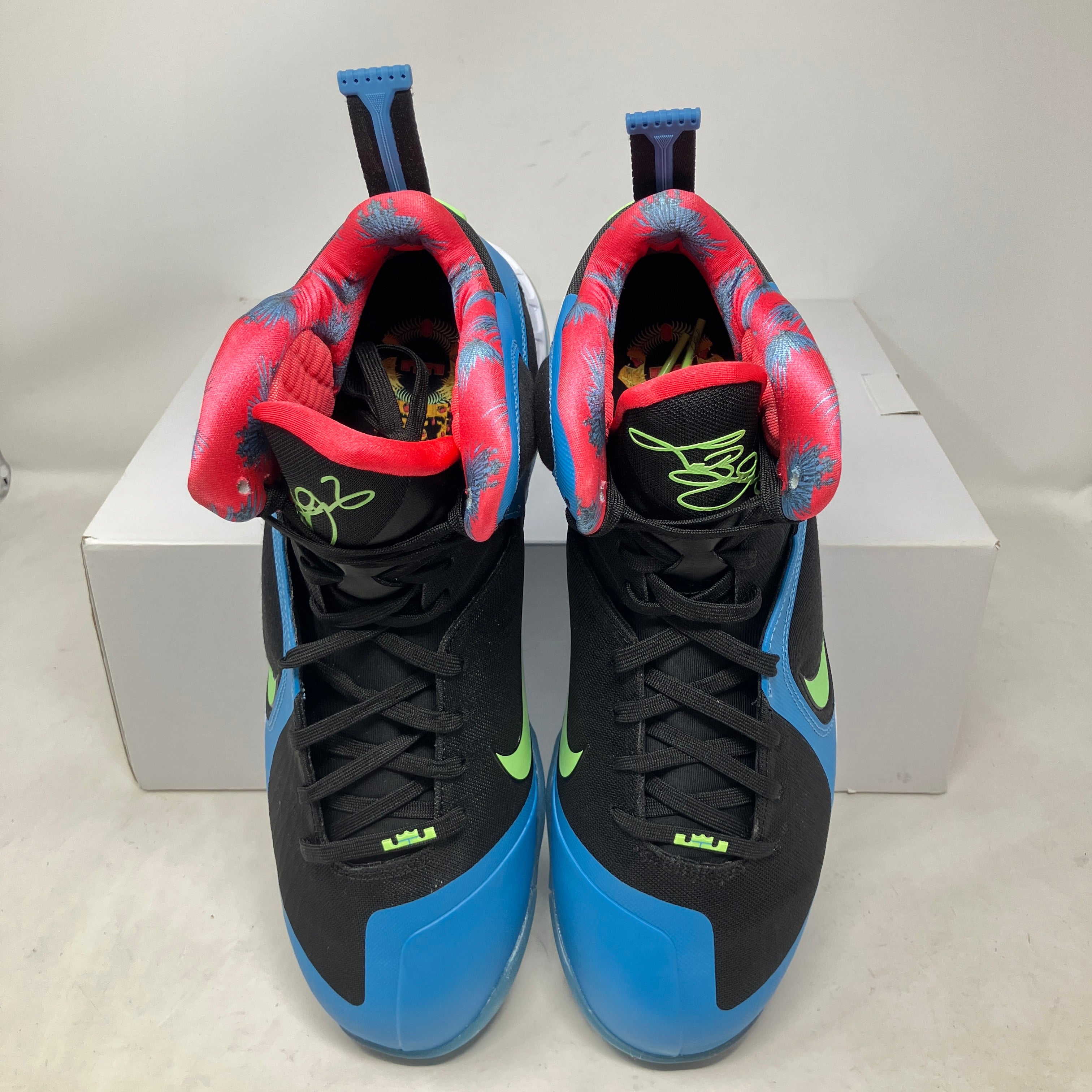 Nike LeBron 9 South Coast