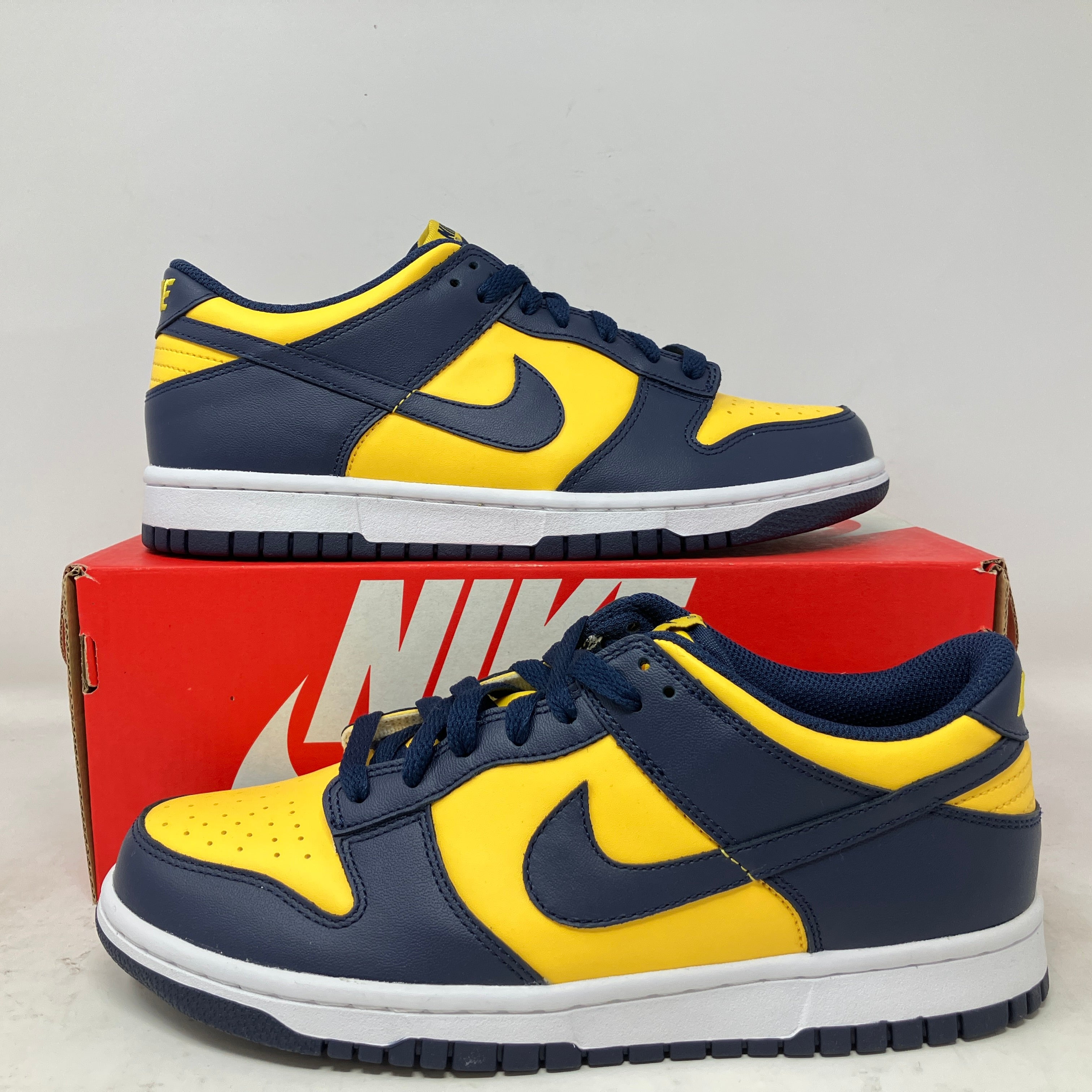 Nike Dunk Low Michigan (2021/2024) (GS)