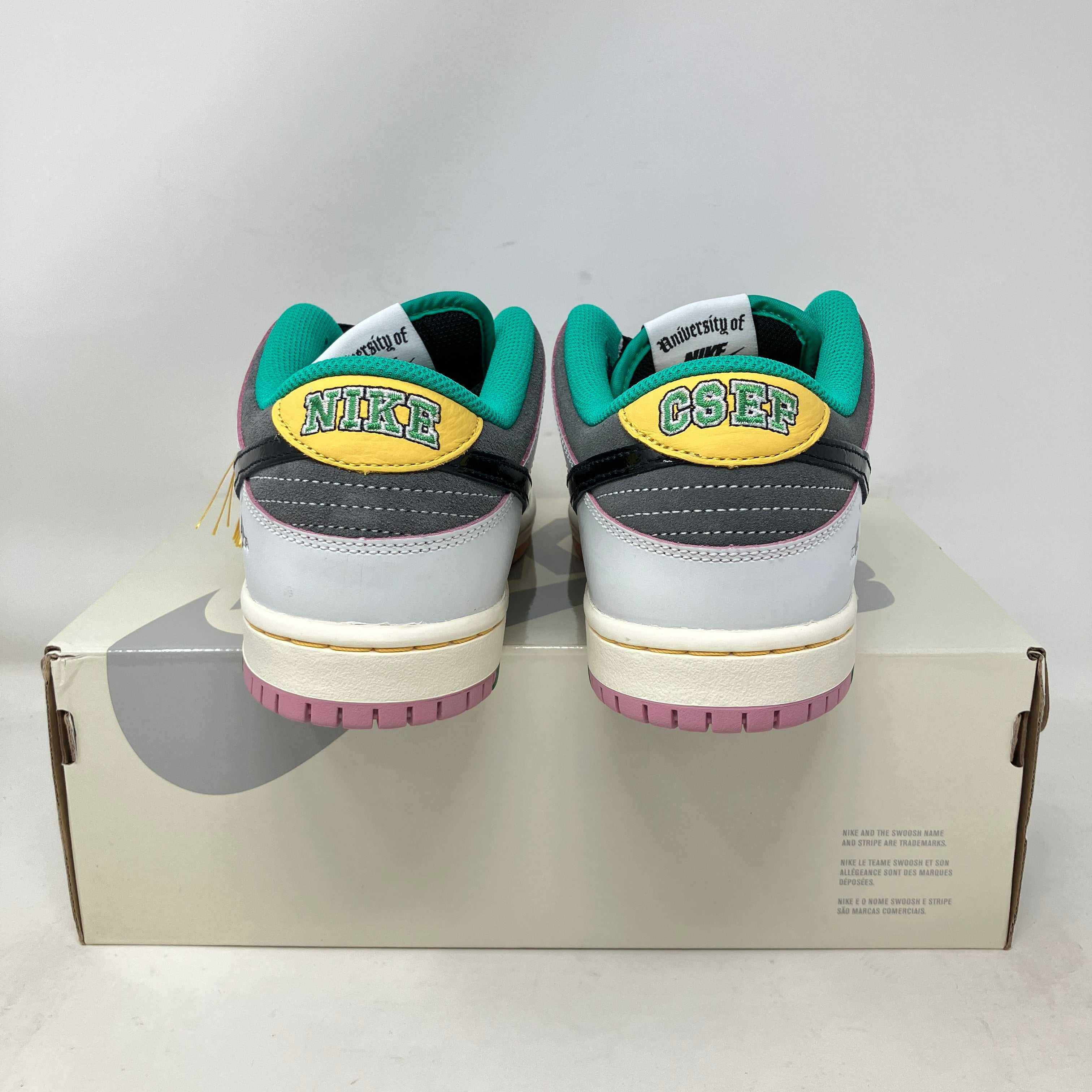 Nike SB Dunk Low CSEF