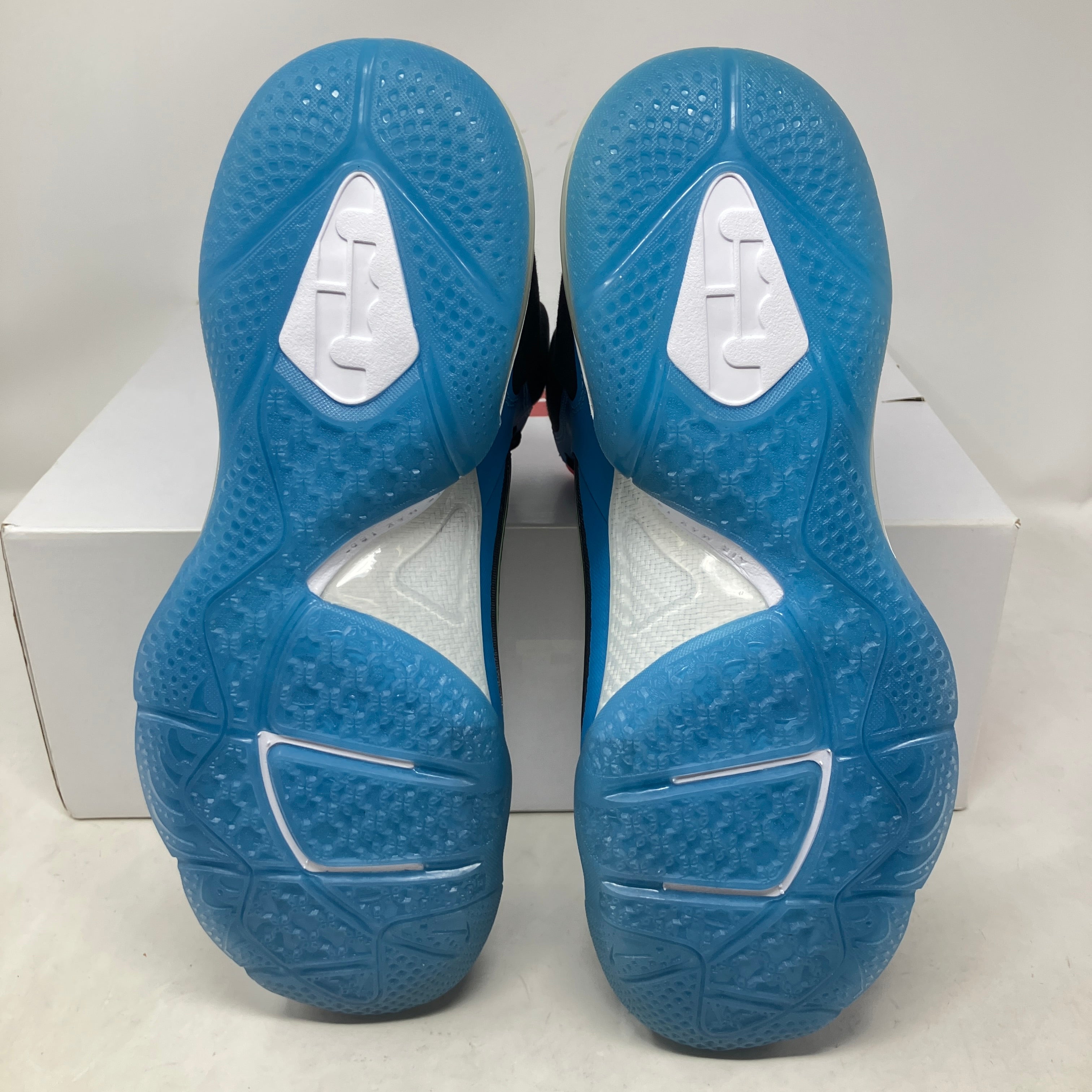 Nike LeBron 9 South Coast