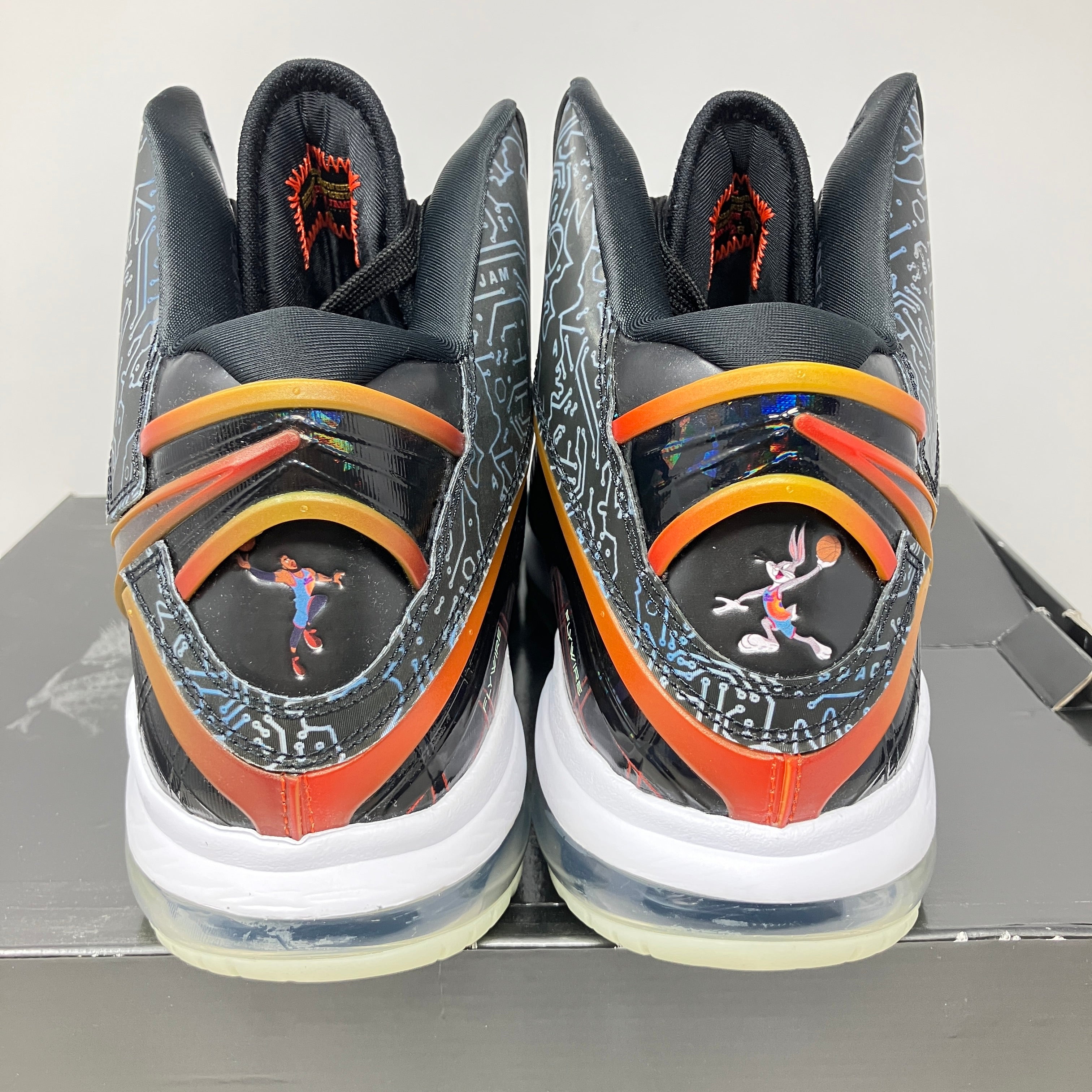 Nike LeBron 8 Space Jam