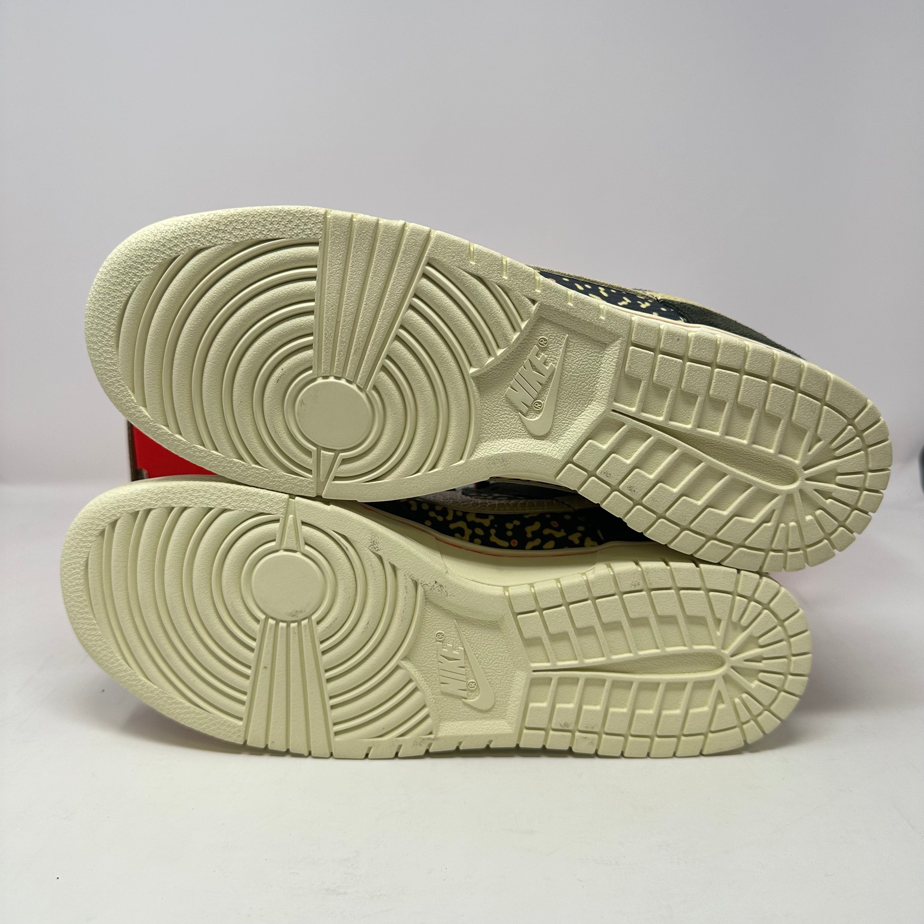 Nike Dunk Low SE Gone Fishing Rainbow Trout