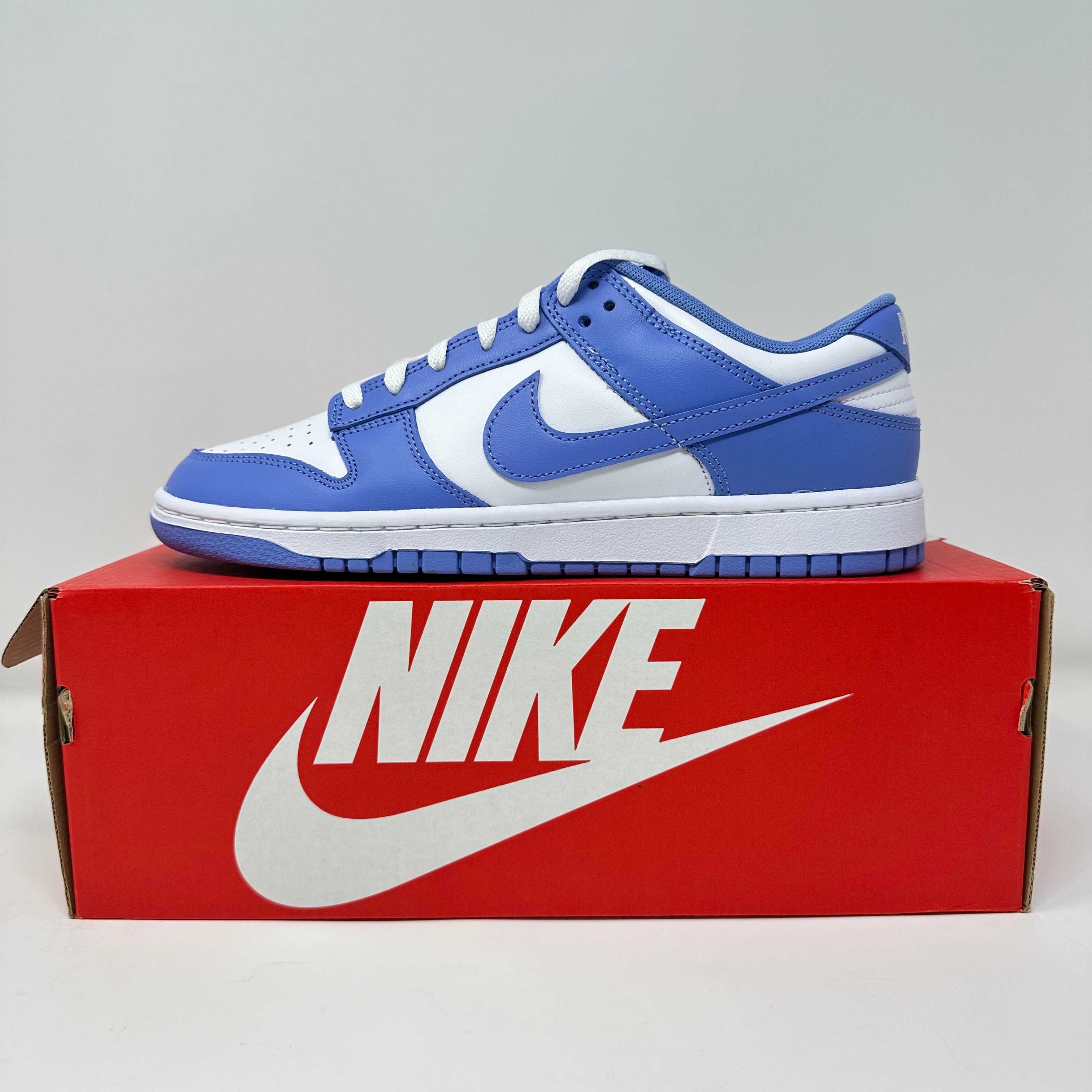 Nike Dunk Low Polar Blue