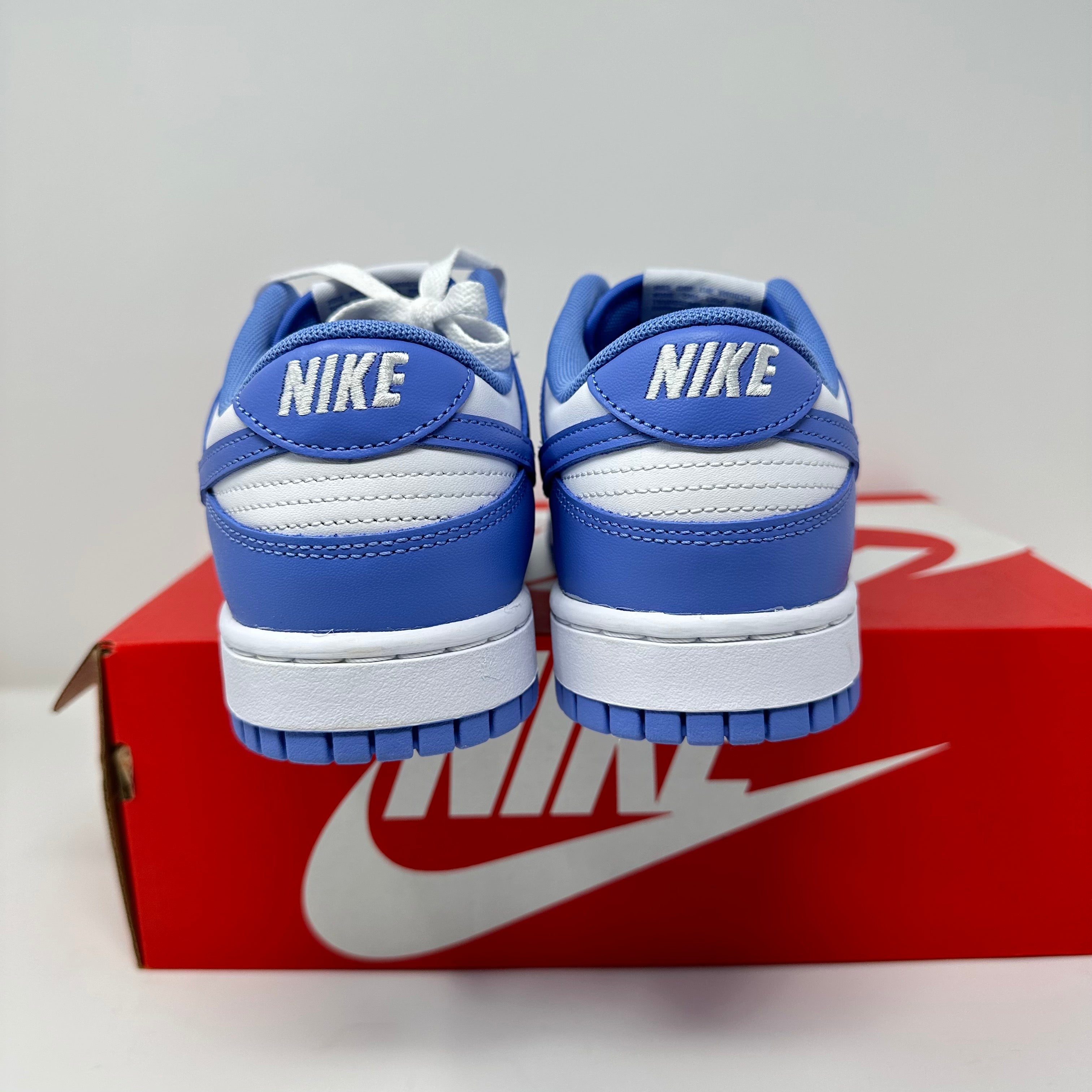 Nike Dunk Low Polar Blue