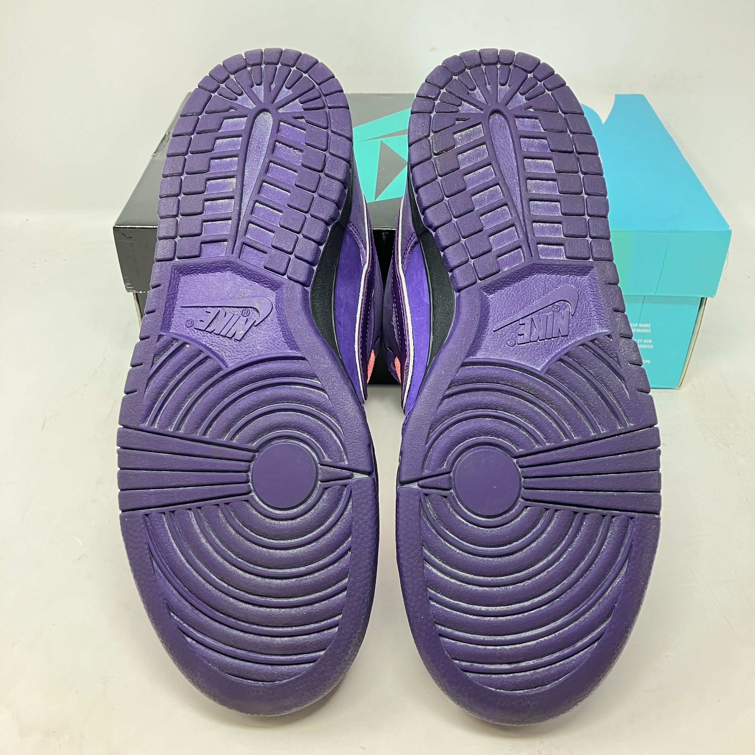 Nike SB Dunk Low Concepts Purple Lobster