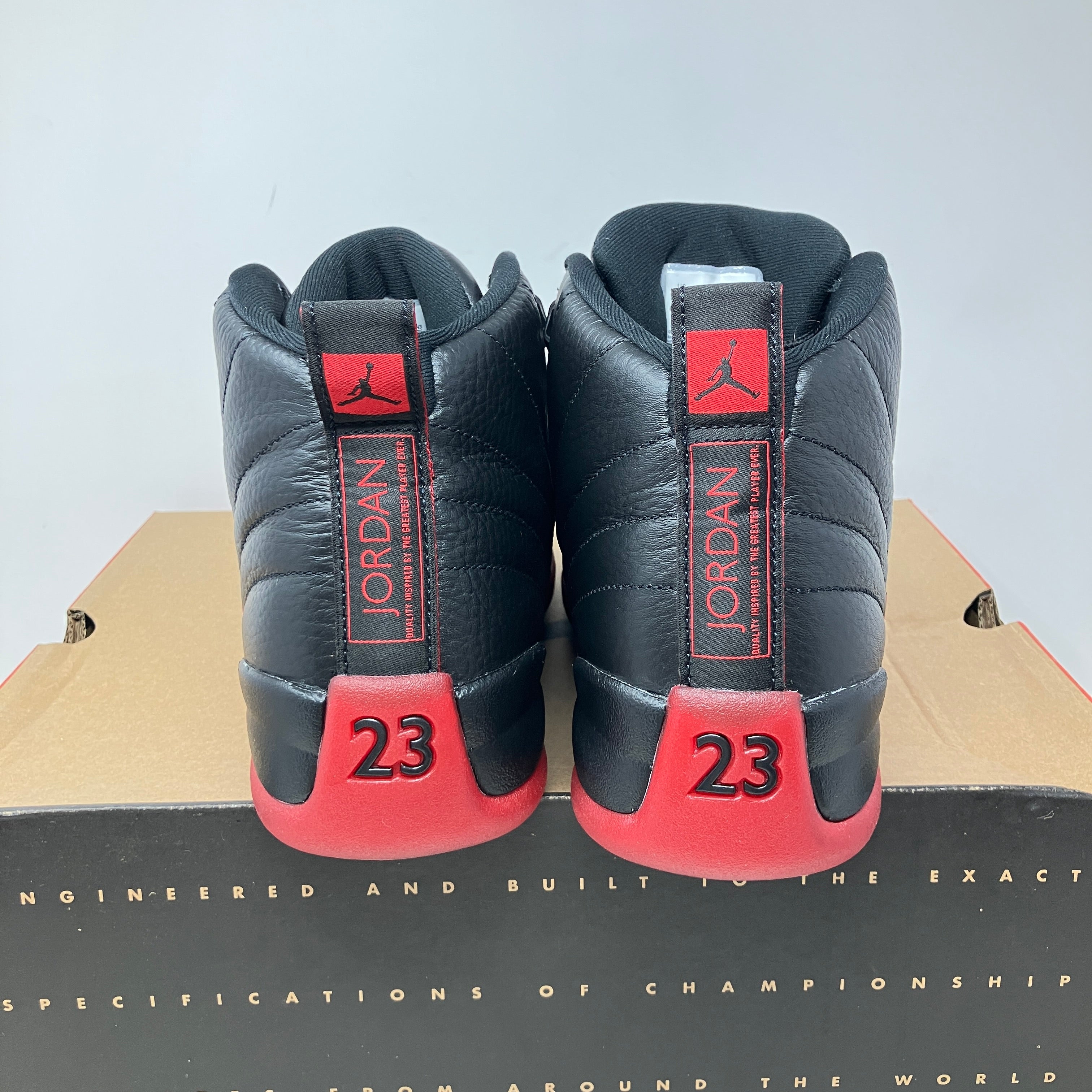 Jordan 12 Retro Flu Game (2025)