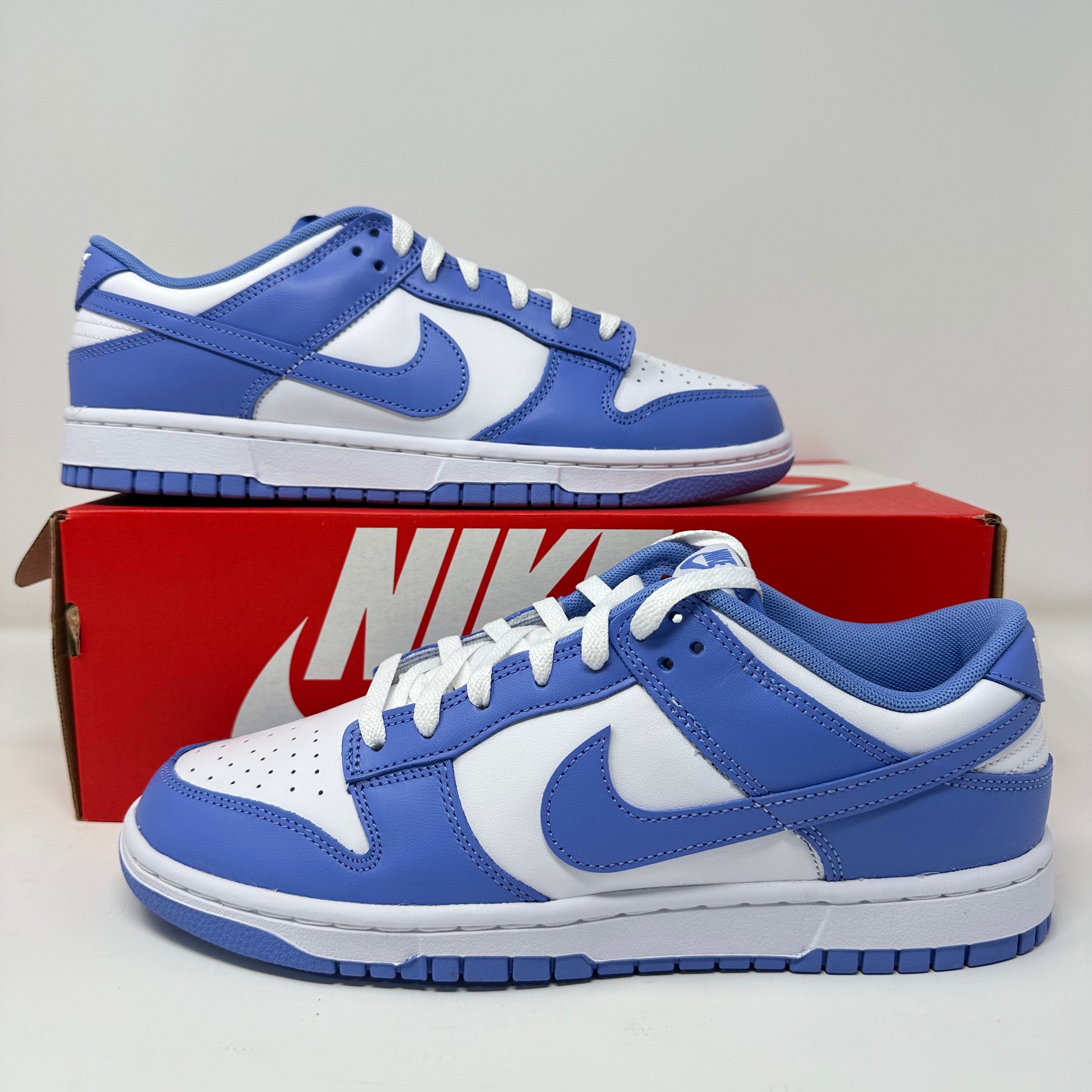 Nike Dunk Low Polar Blue