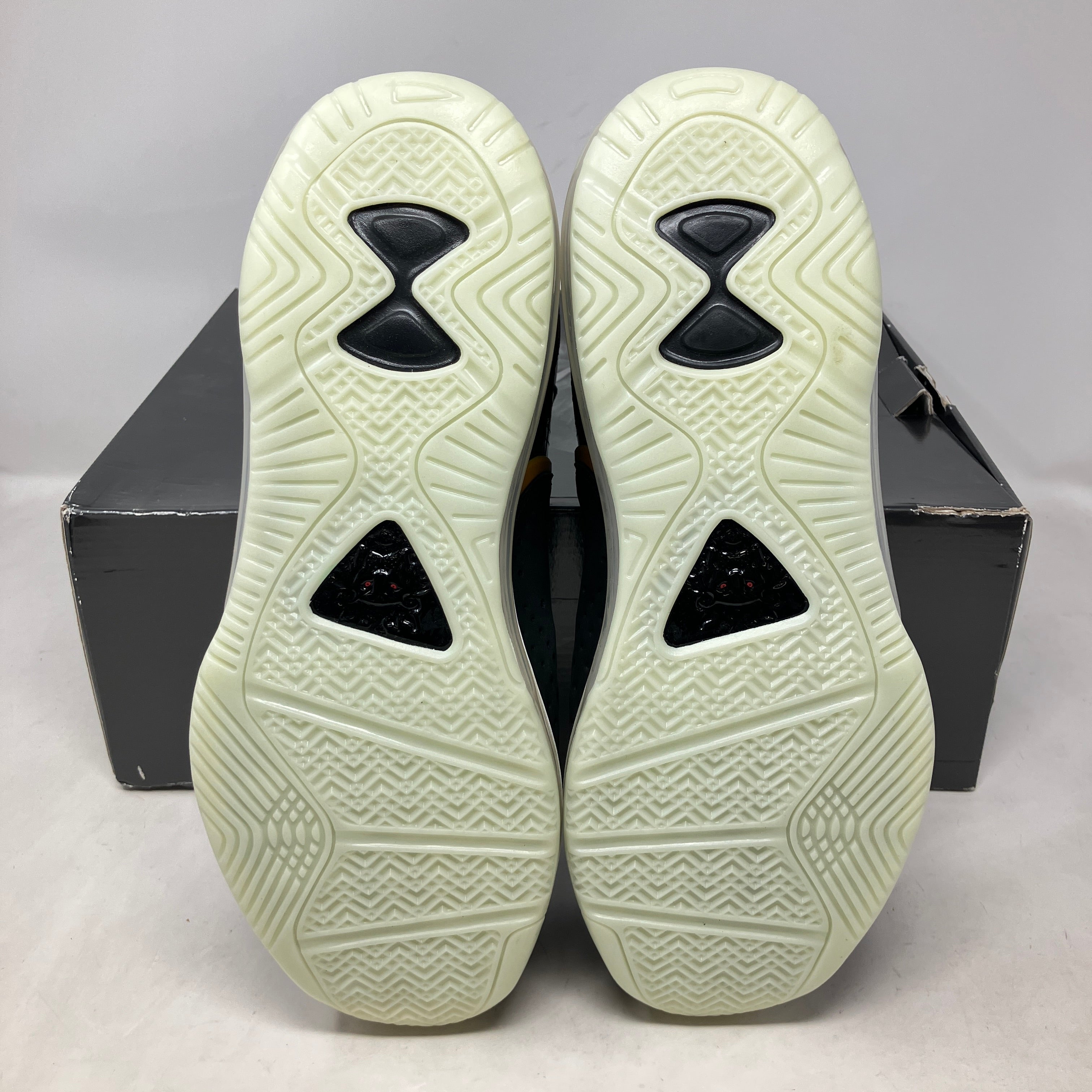 Nike LeBron 8 Space Jam