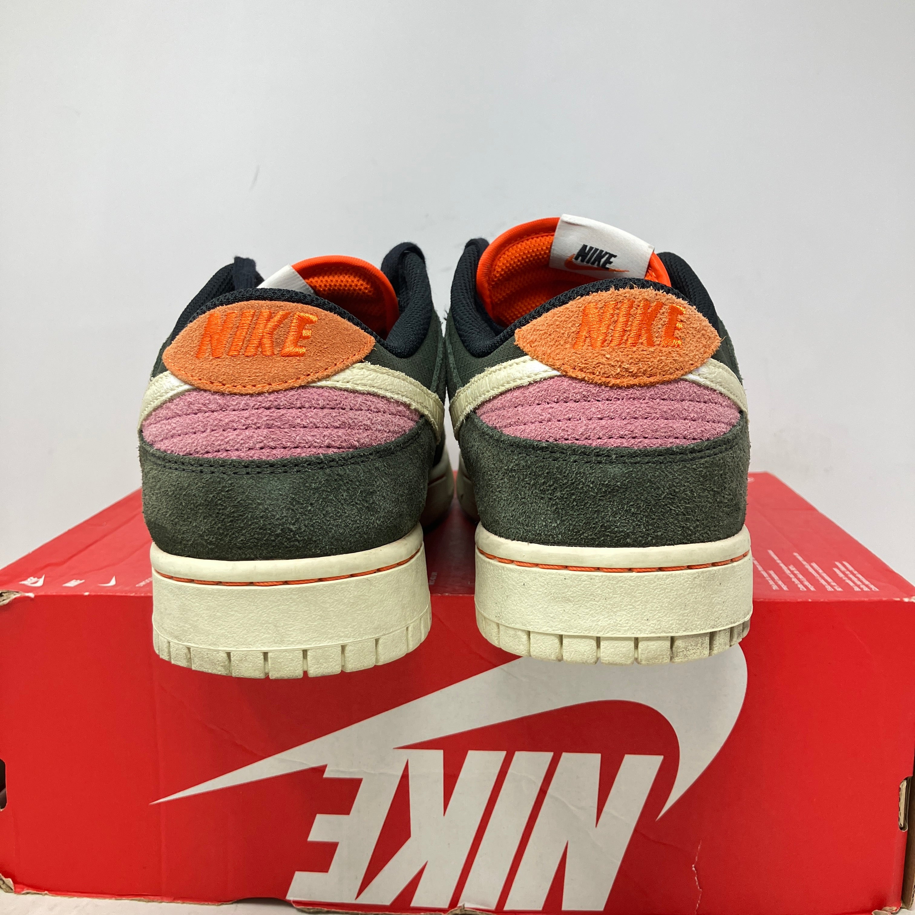Nike Dunk Low SE Gone Fishing Rainbow Trout